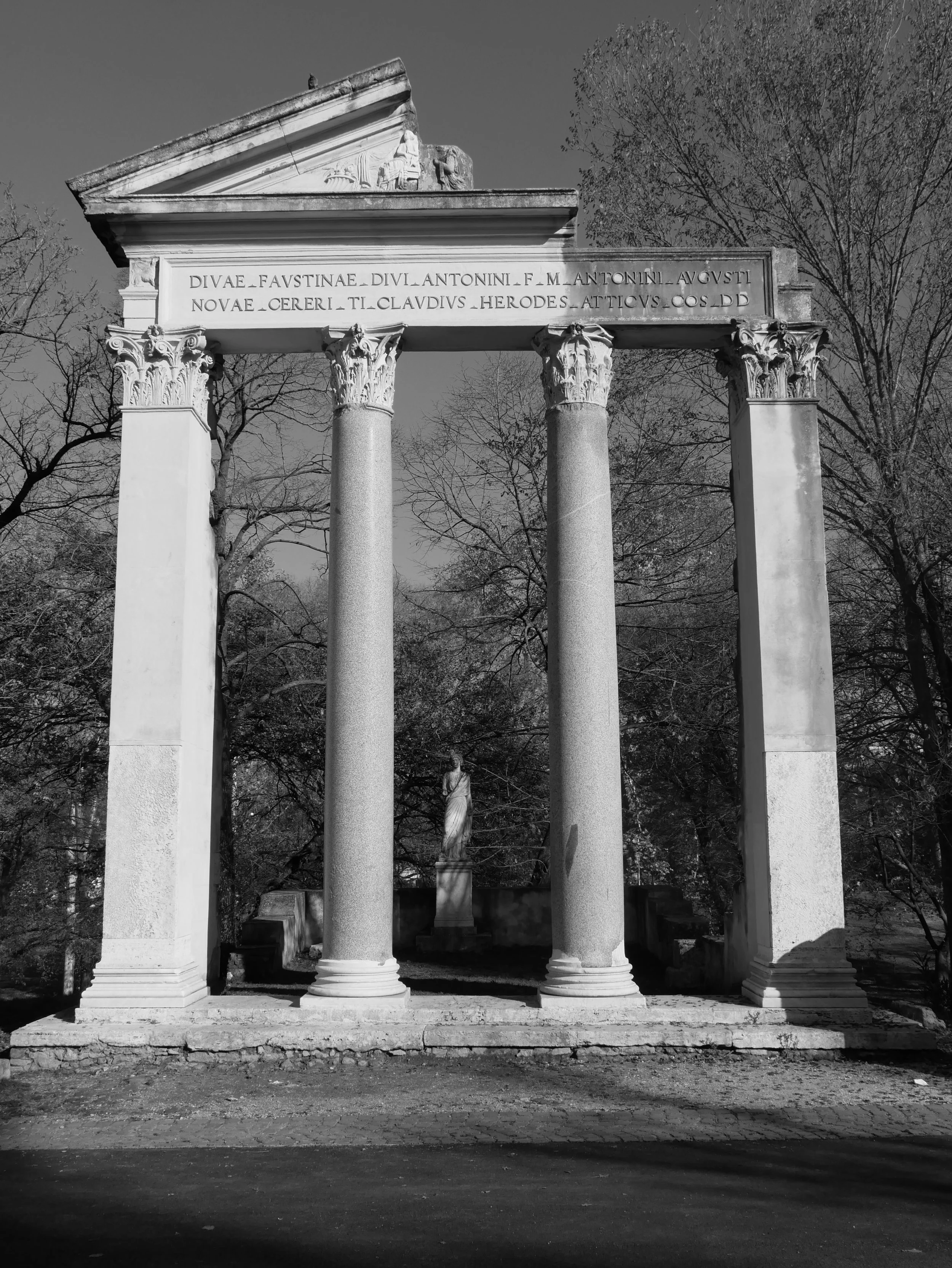 the green heart - 2025 - Digital photograph