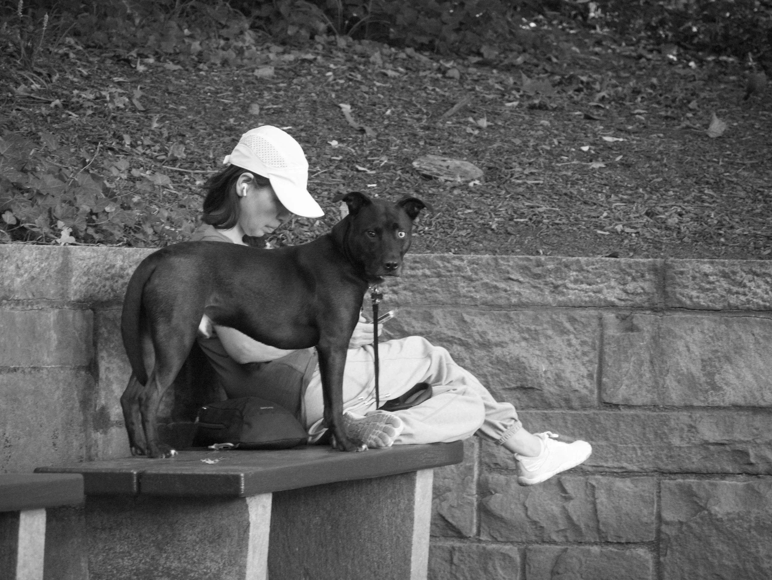 wall eyes - 2025 - Digital photograph