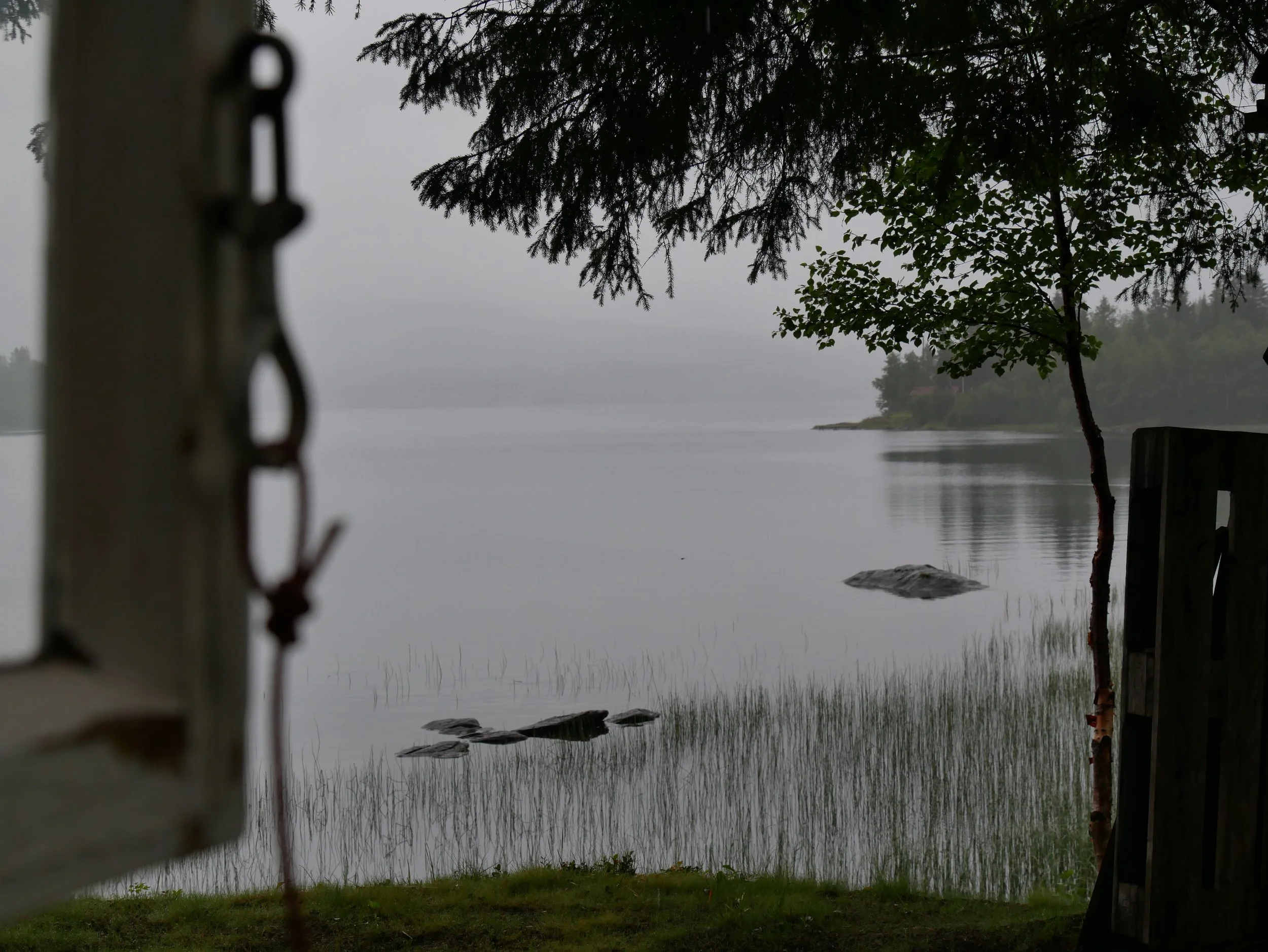 fog on the lake - 2026 - Digital photograph