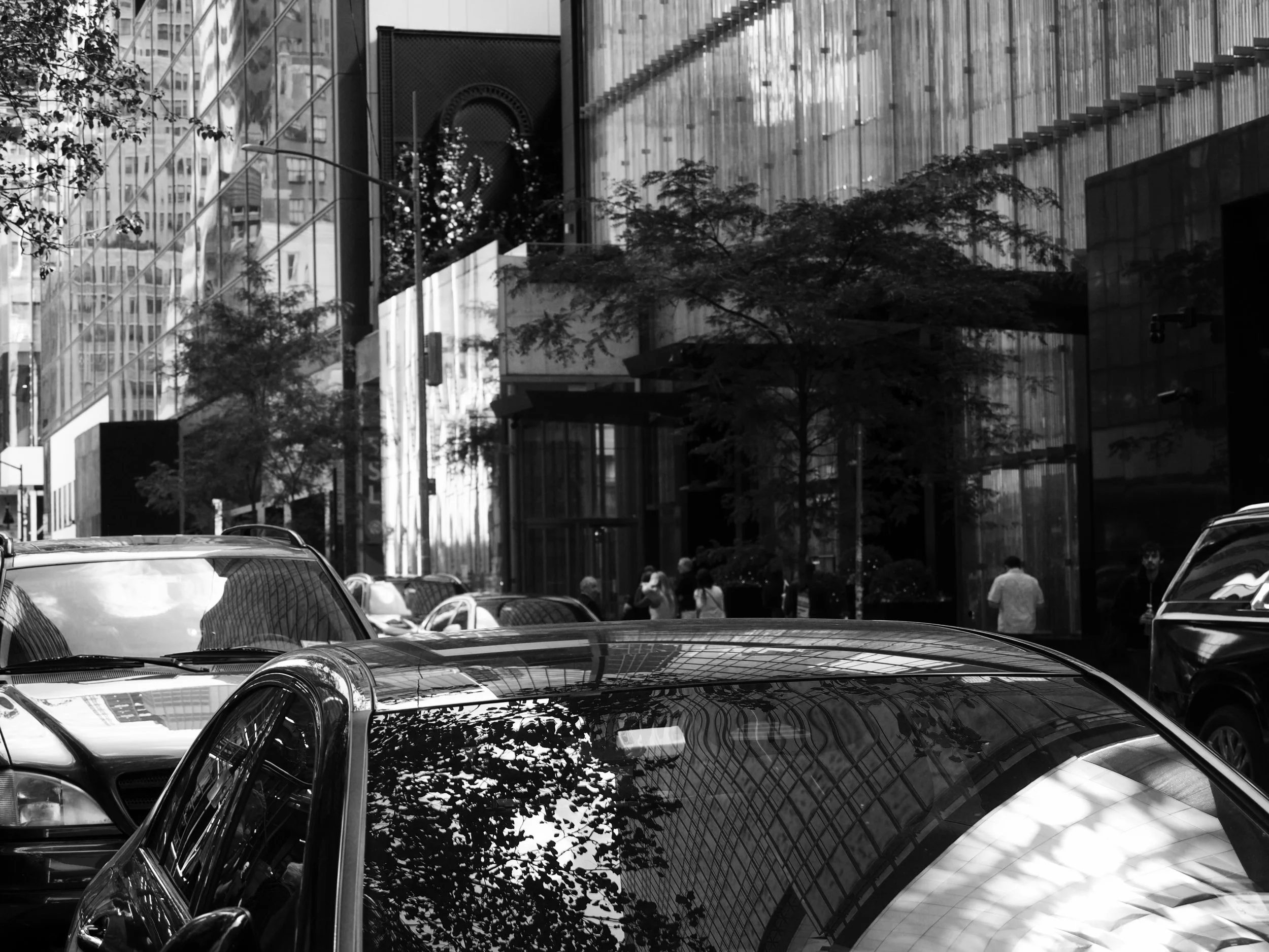 windshields - 2025 - Digital photograph