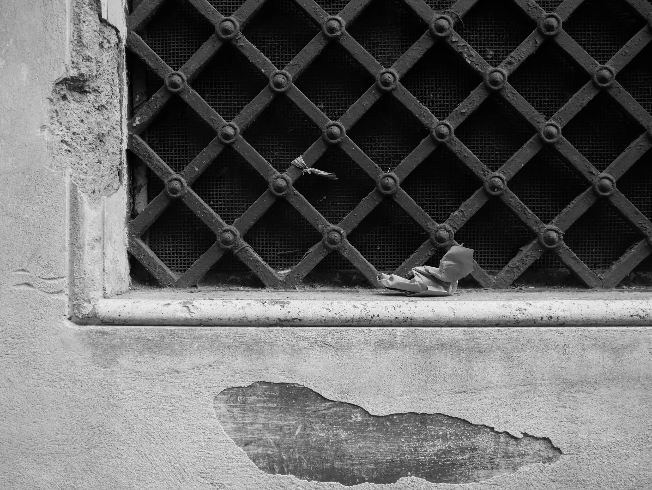 Byrd - 2025 - Digital photograph