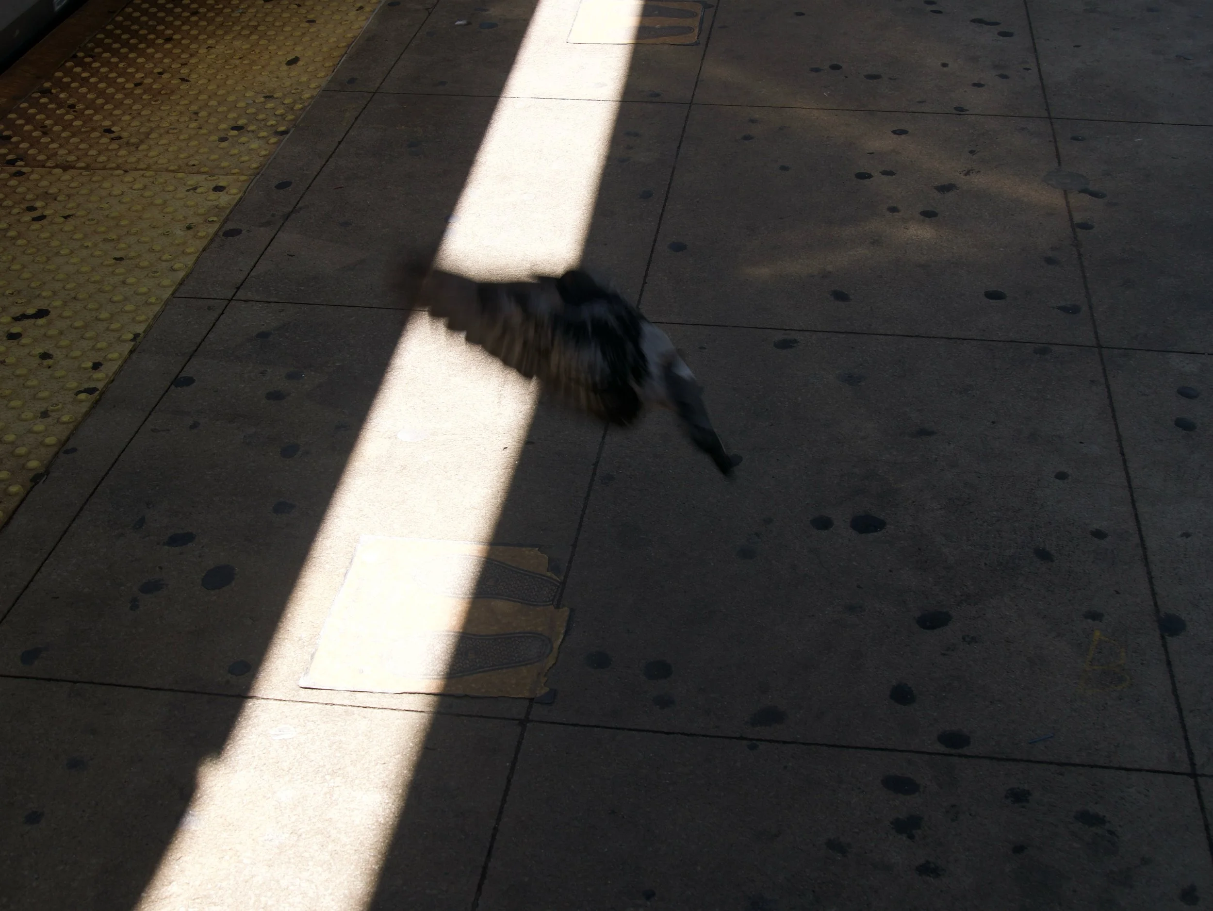 in and out - 2025 - Digital photograph