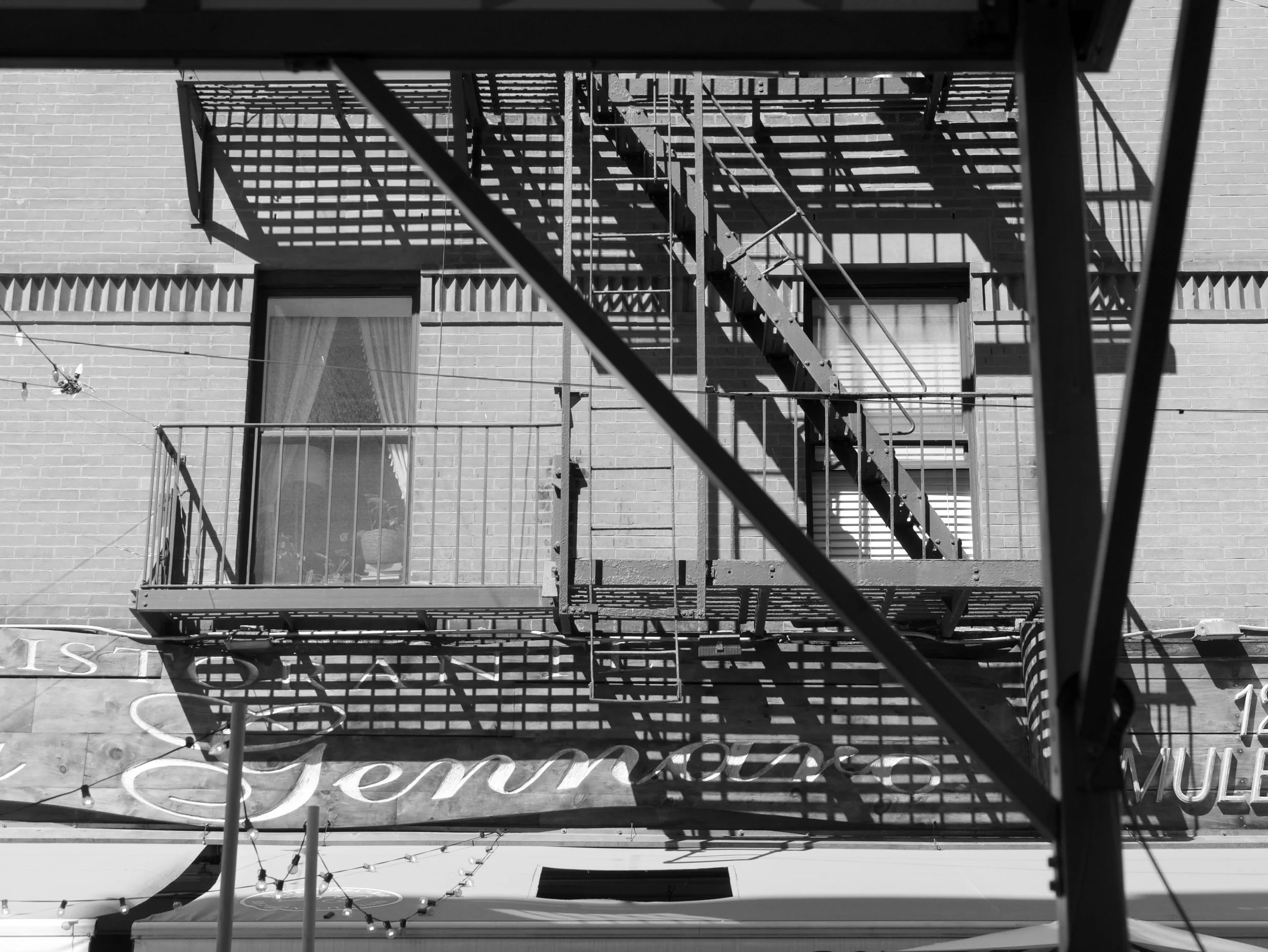 Gennaro - 2025 - Digital photograph