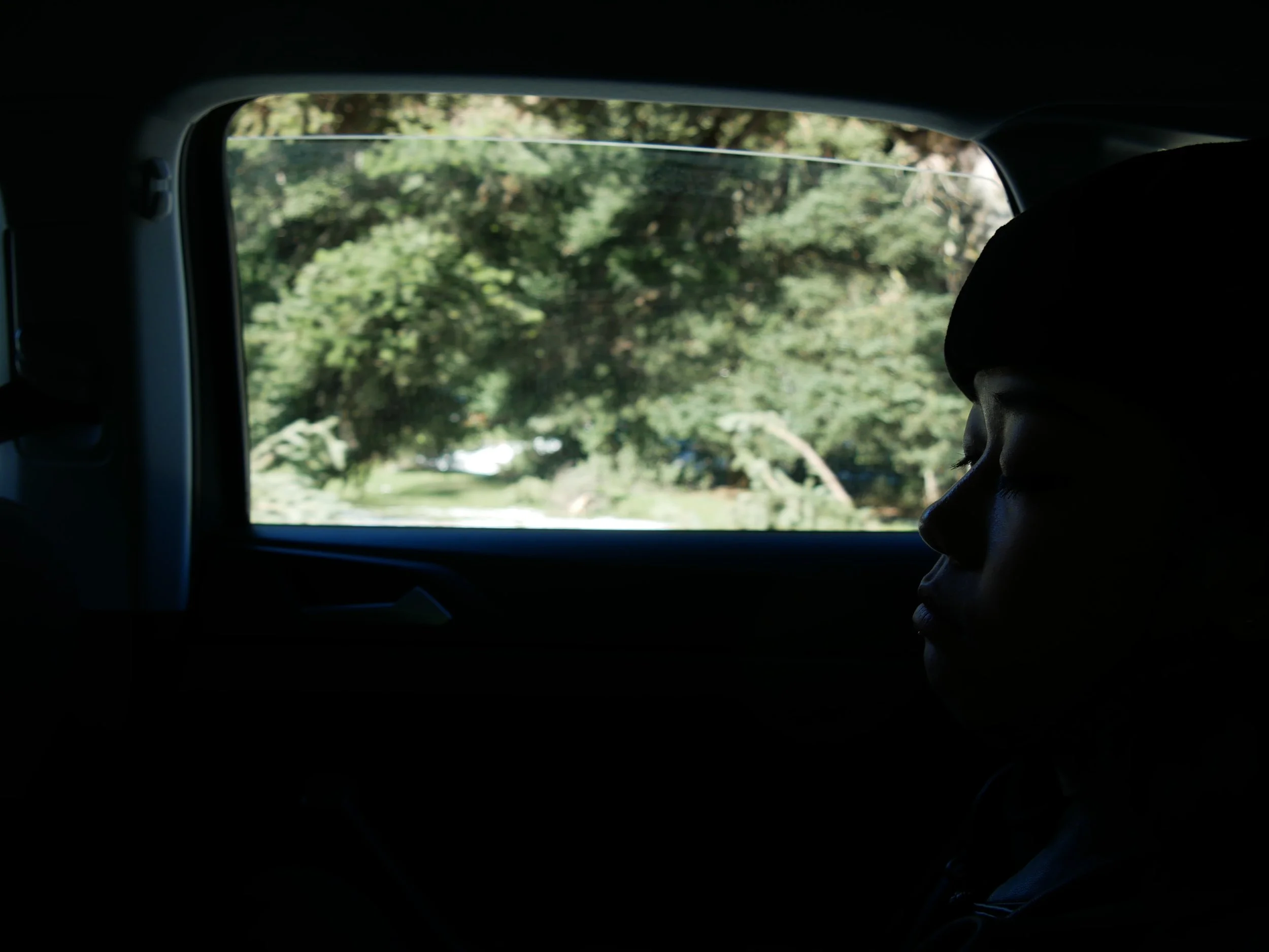 Lova sleeping in the car - 2019 - Digital photograph