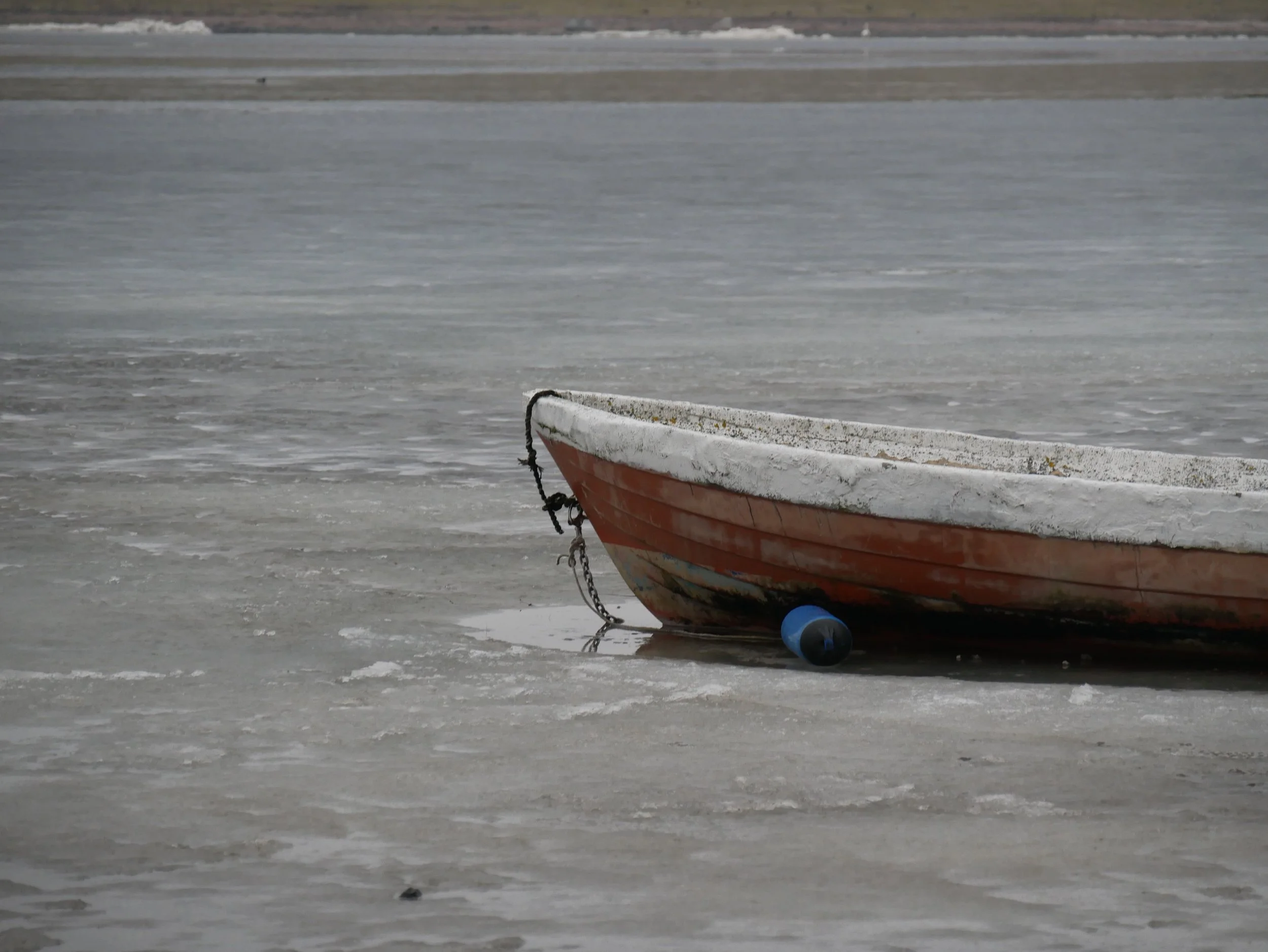 barque - 2025 - Digital photograph