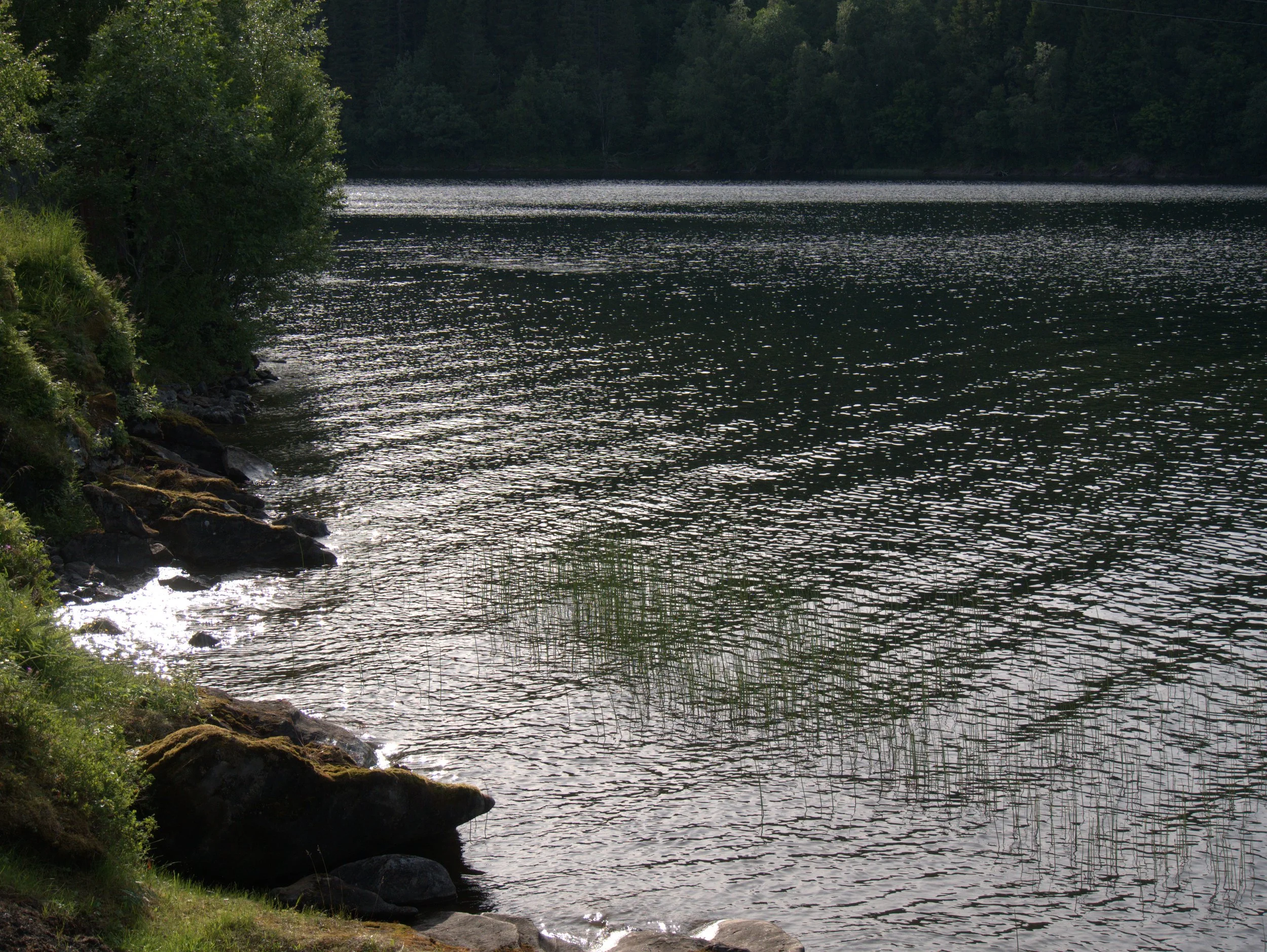 innsjøen - 2025 - Digital photograph