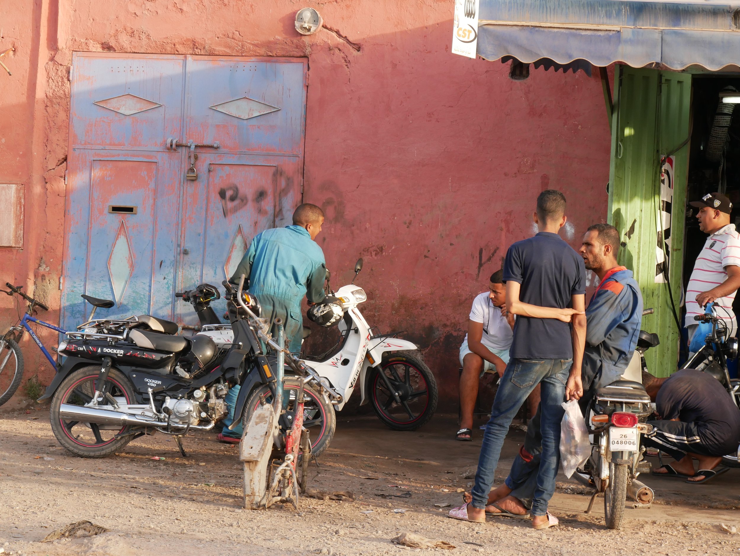 gazelles - 2019 - Digital photograph