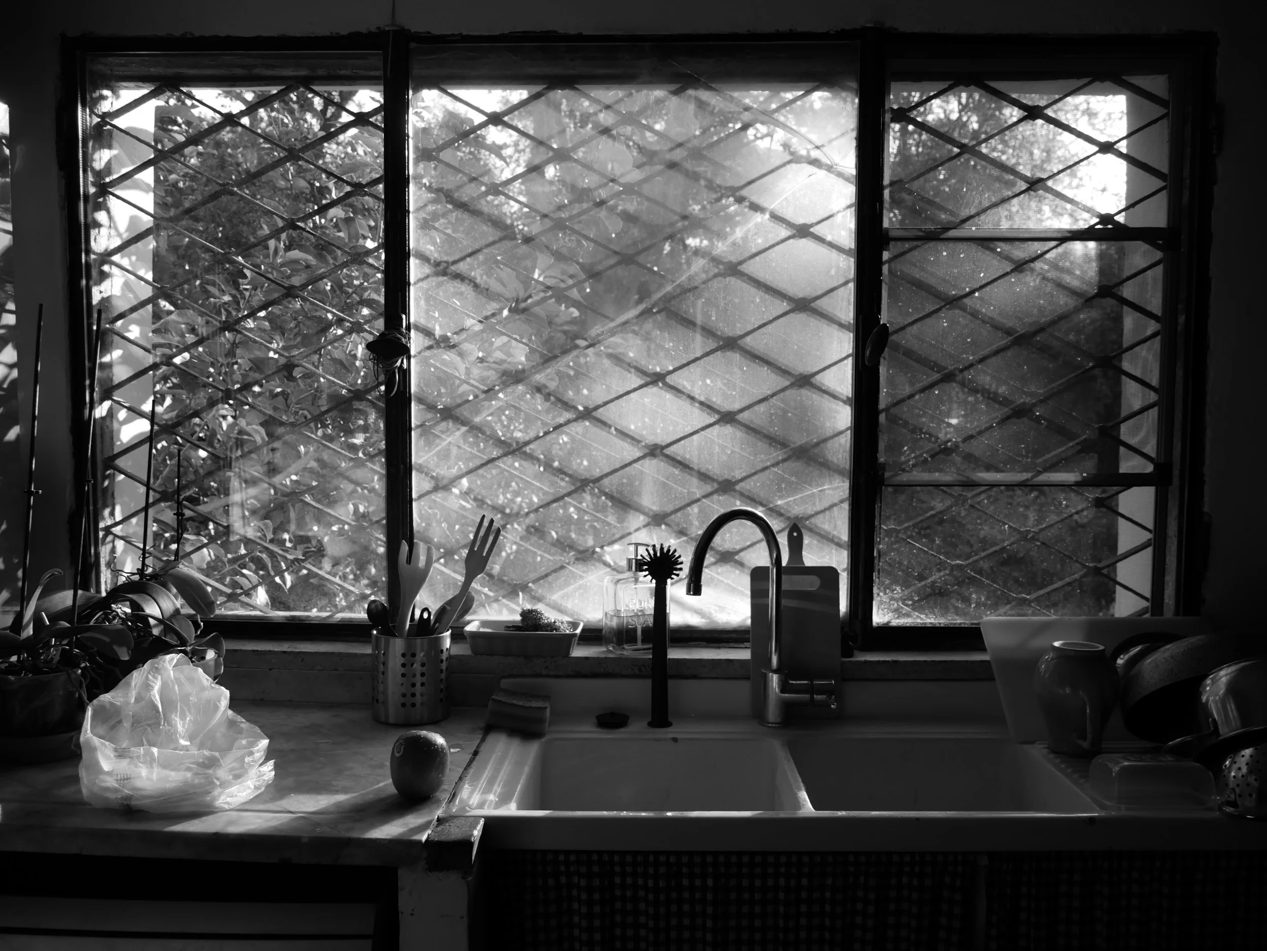 Matin au Palatin - 2025 - Digital photograph