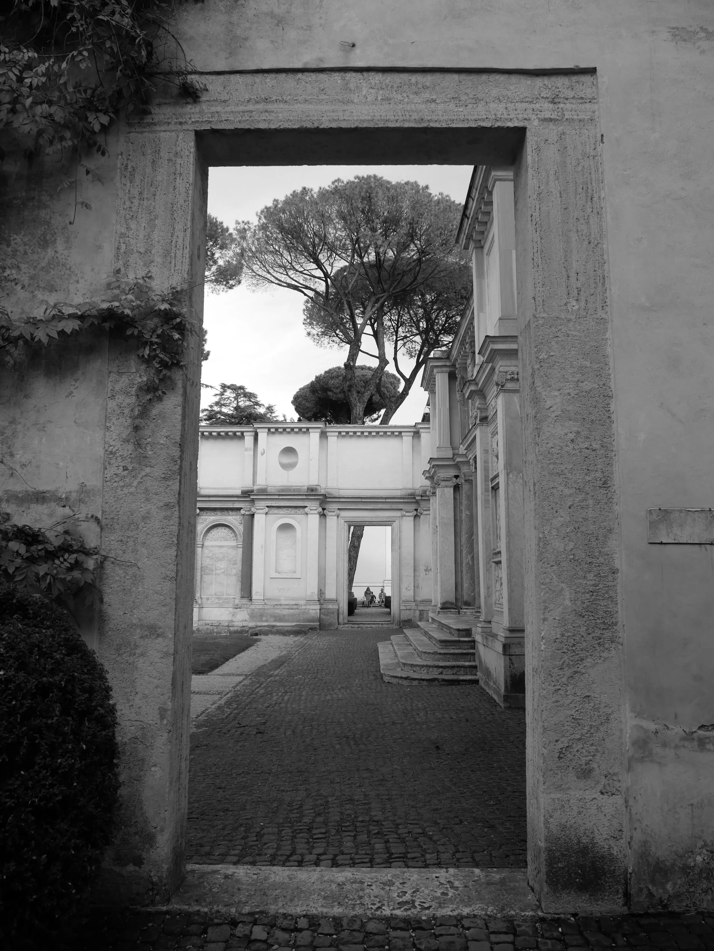 WC - 2025 - Digital photograph