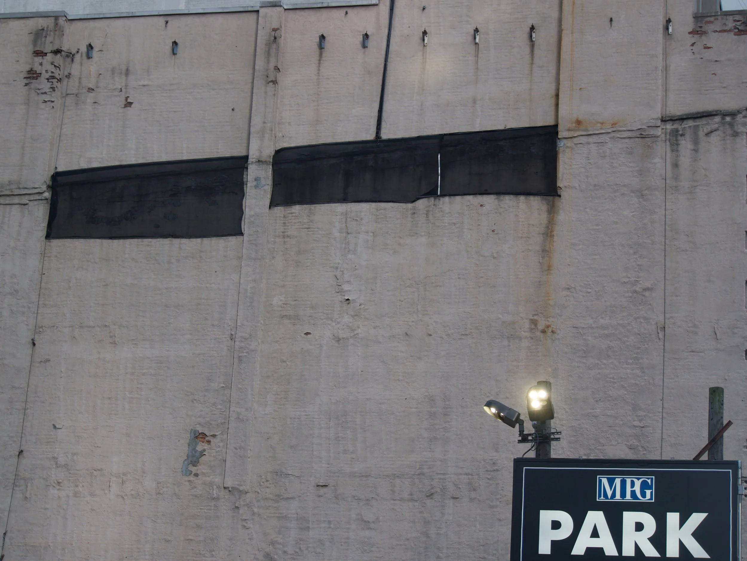 PARK - 2025 - Digital photograph