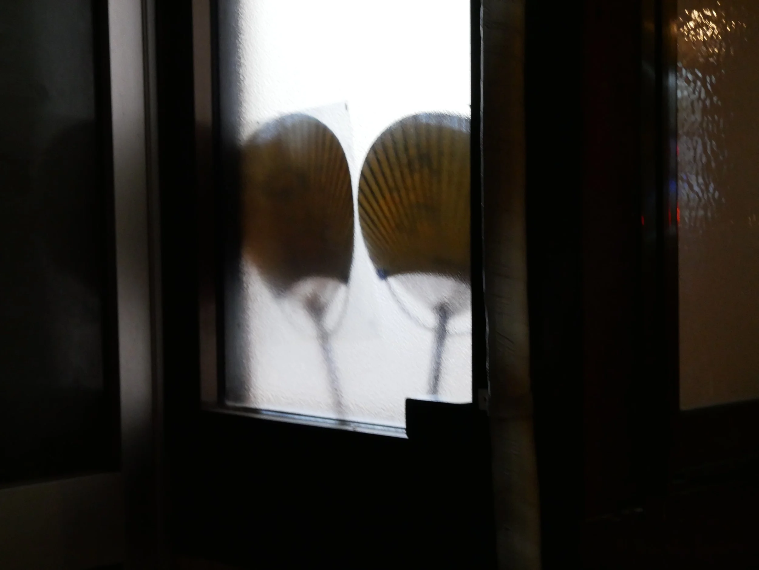 two fans - 2026 - Digital photograph