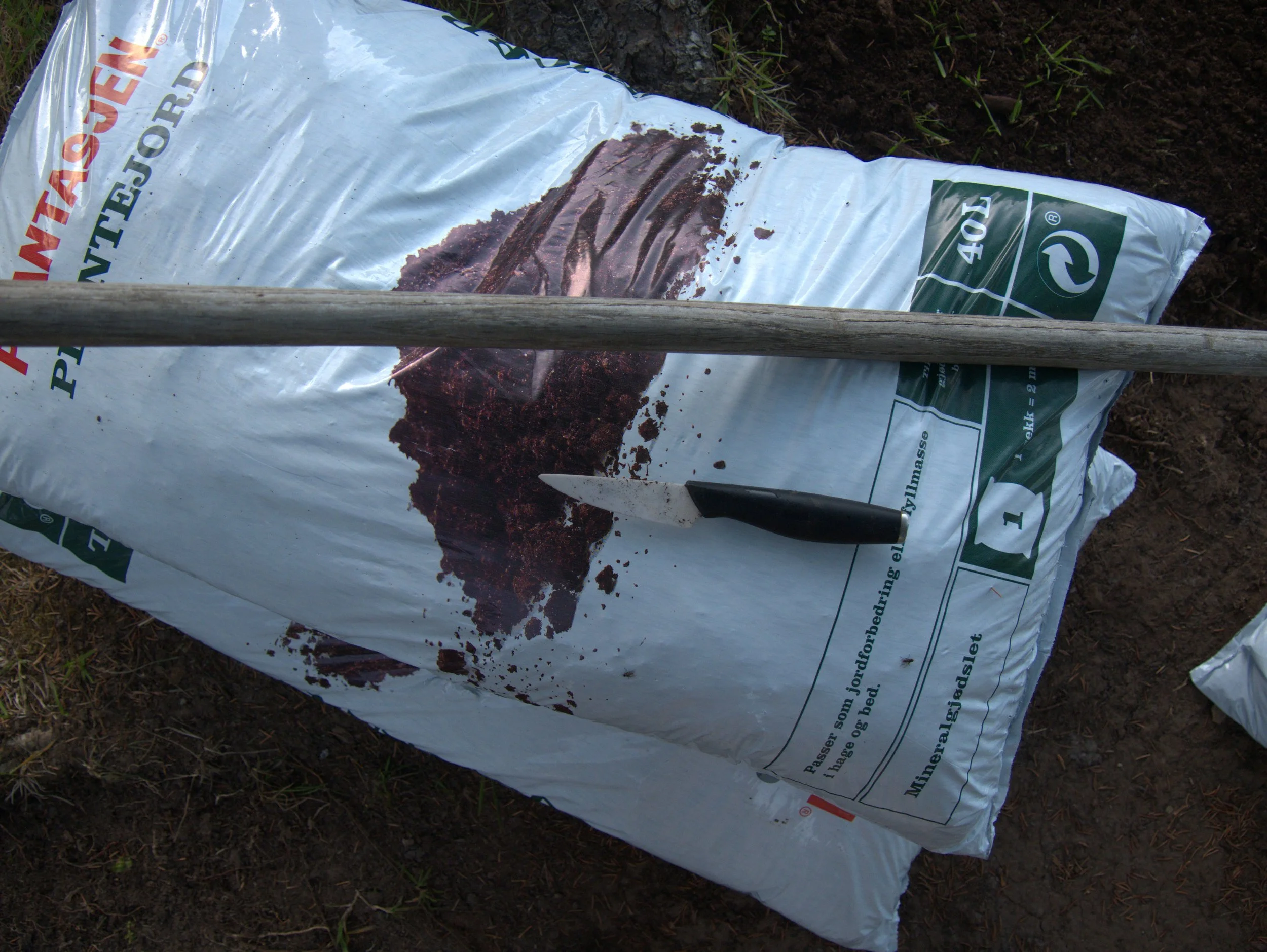 voluntary work - 2025 - Digital photograph