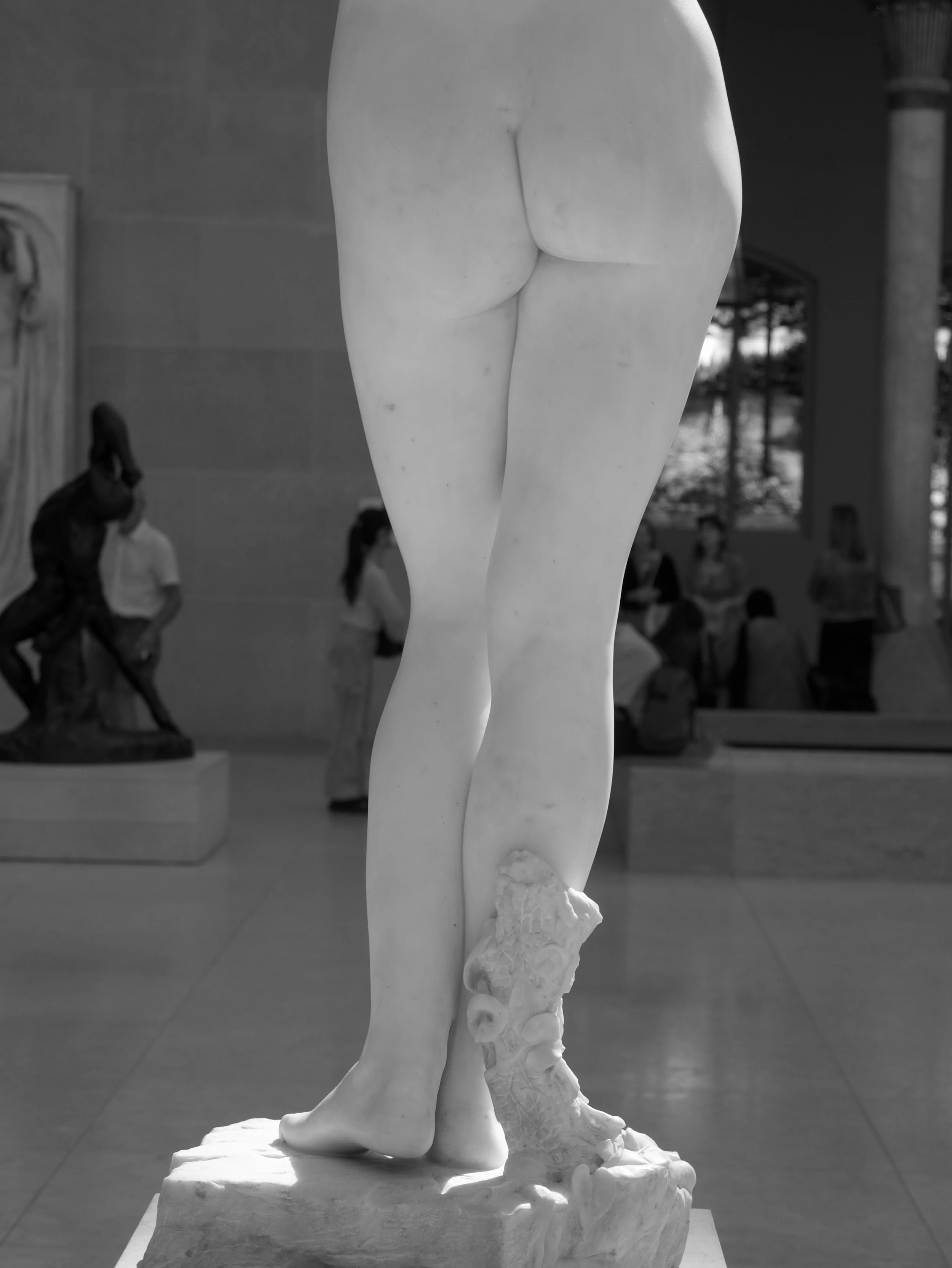 white back - 2025 - Digital photograph