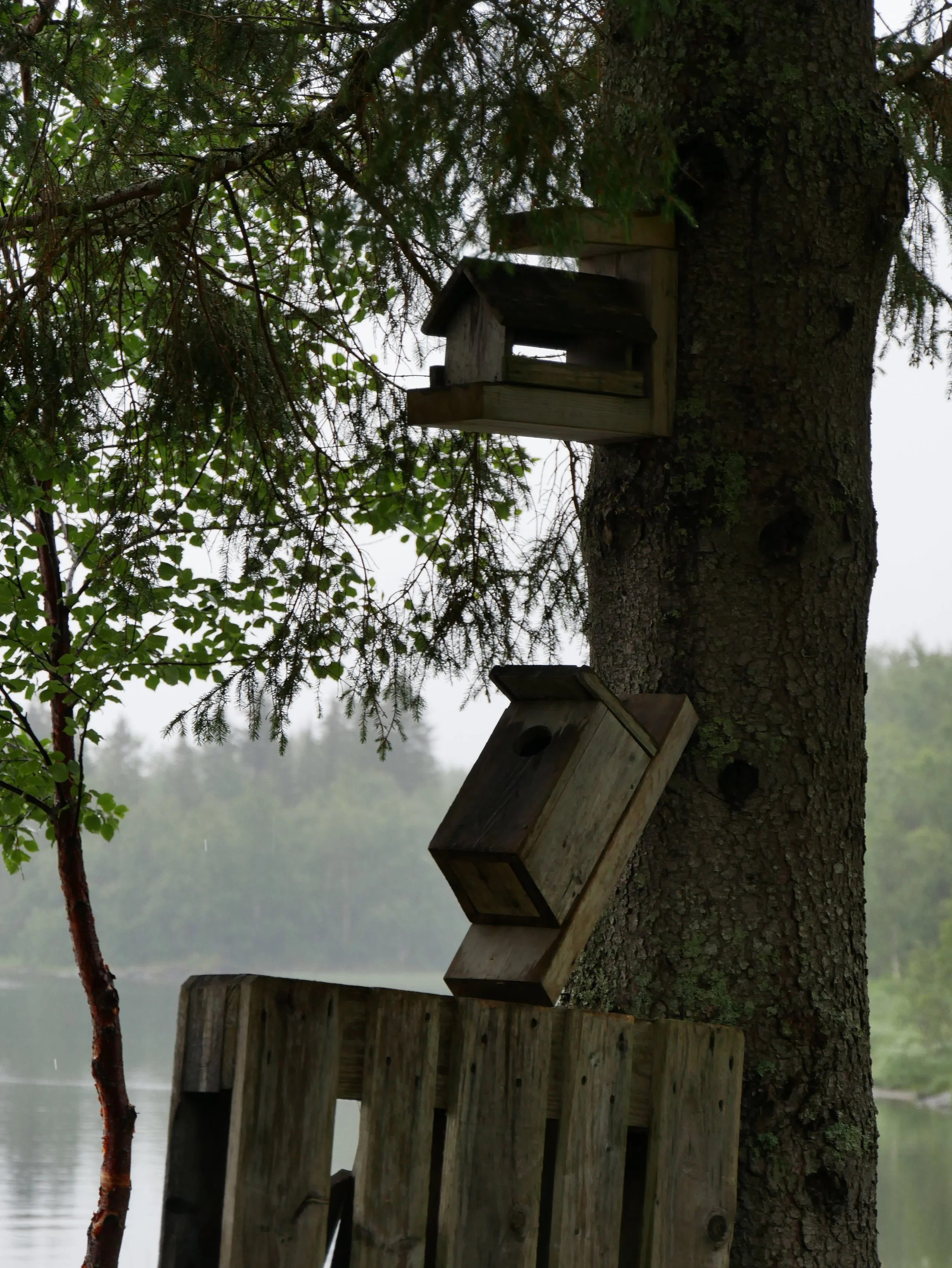 boxes - 2026 - Digital photograph