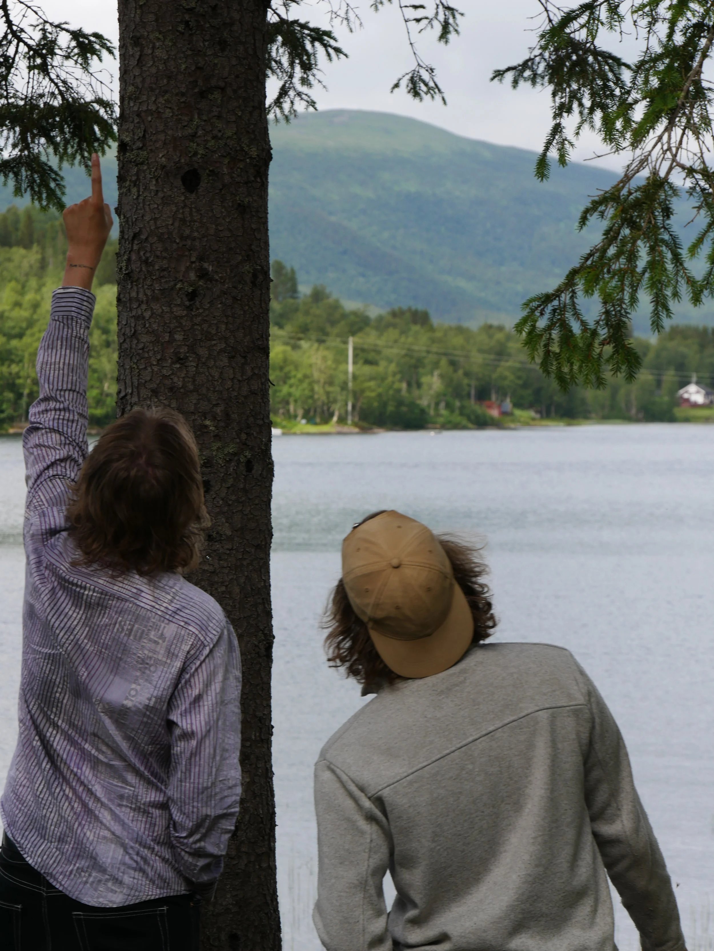 the boys looking up the tree - 2026 - Digital photograph