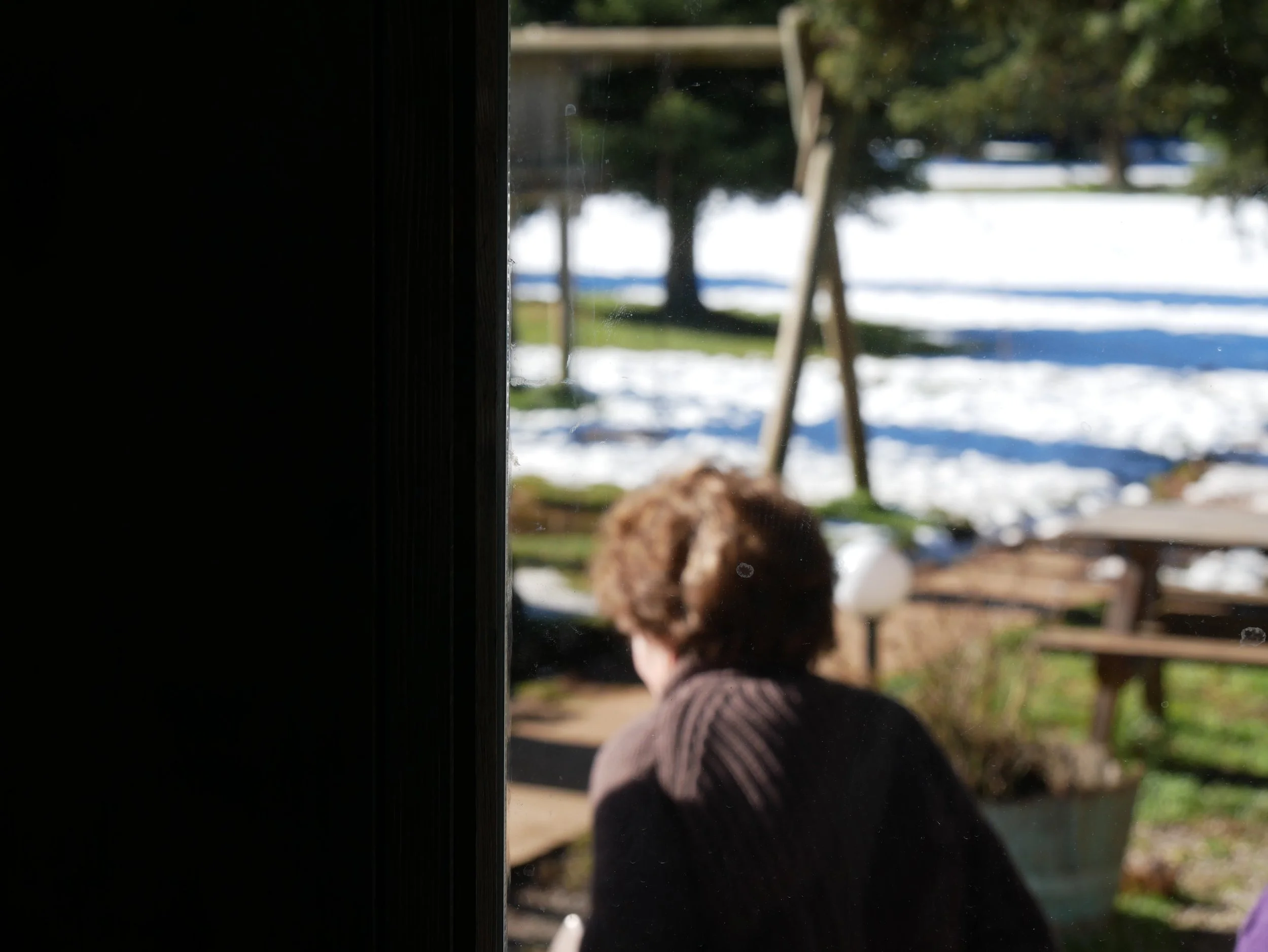 to the winter - 2019 - Digital photograph