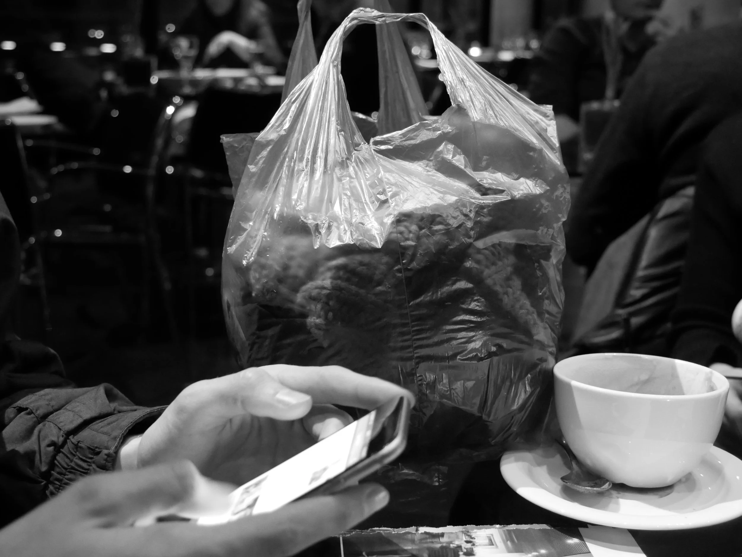 plastic bag - 2019 - Digital photograph