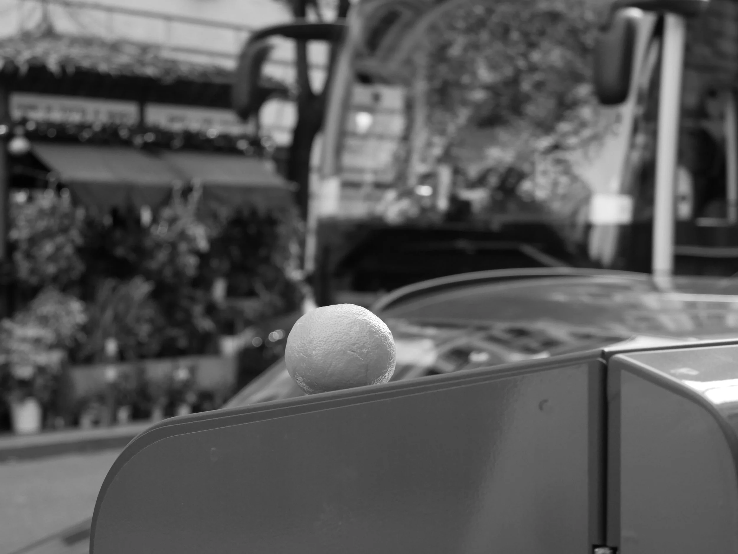 mandarine - 2025 - Digital photograph