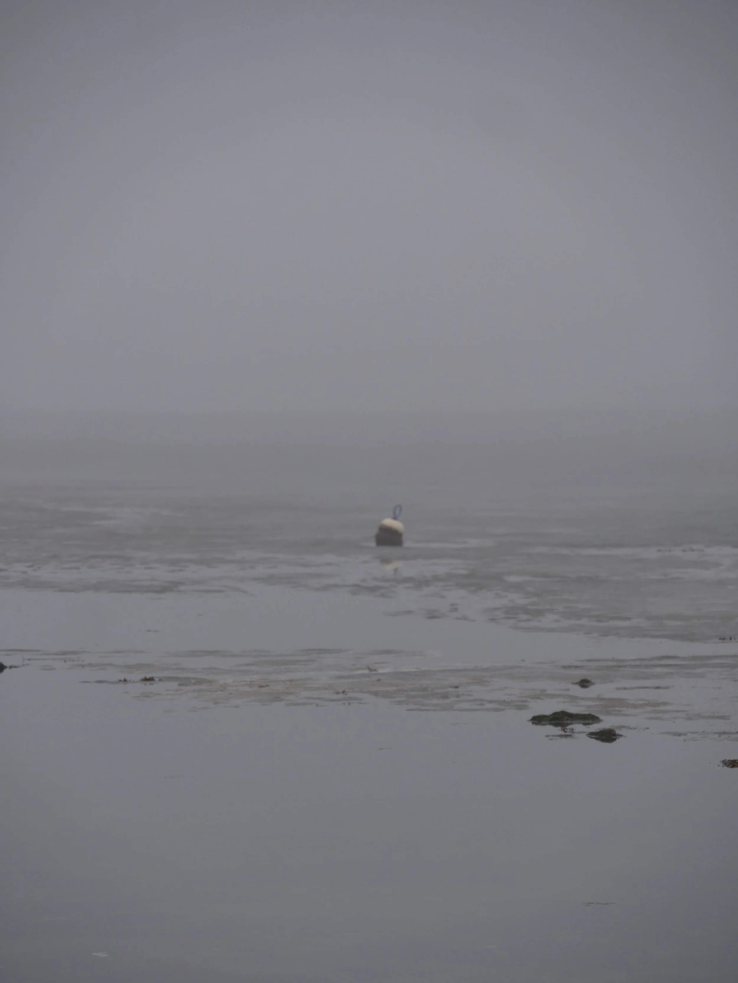 buoy in the fog - 2025 - Digital photograph