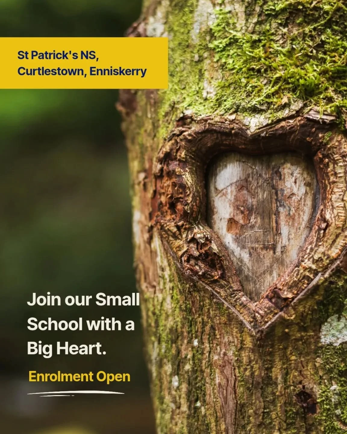 Enrolment is open for our small school with a BIG heart 💛💙 Use the link in our bio to access the application form for September 2026 and come see our school at our Harvest Festival this Sunday 1 - 3 pm. 

#enniskerry #wicklow #bray