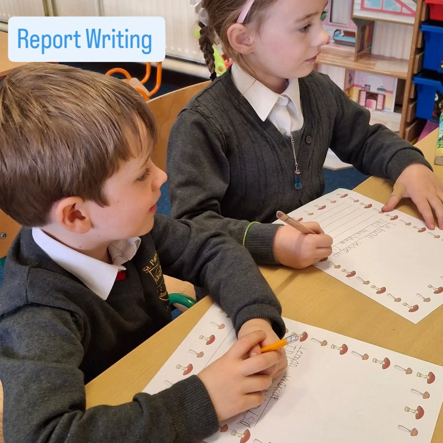 The Junior class were very busy today writing reports about various mushrooms we found in our forest.