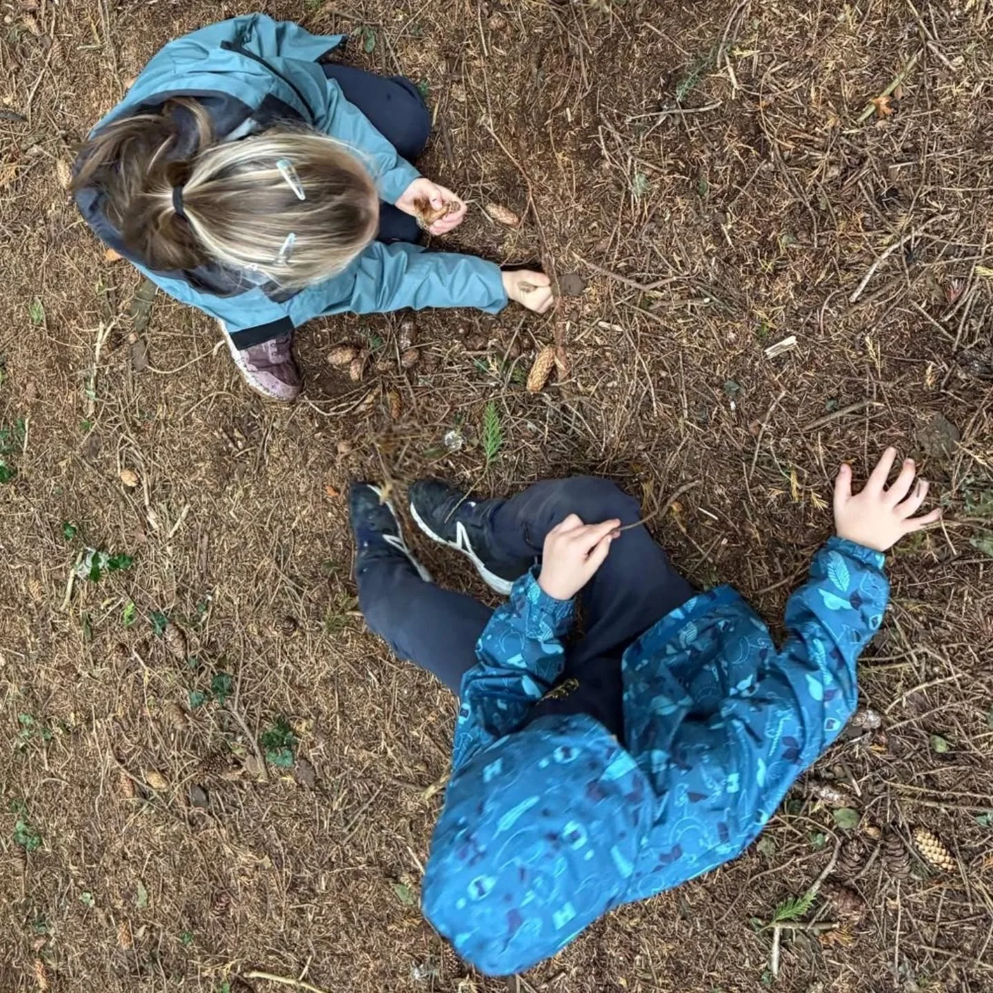 For Tree Top Tuesday we started planting the native daffodils that were donated to us by @pureproj and @wicklowcoco . When we came back inside the Junior Classroom wrote about the experience they had had in the forest 🌳🪾