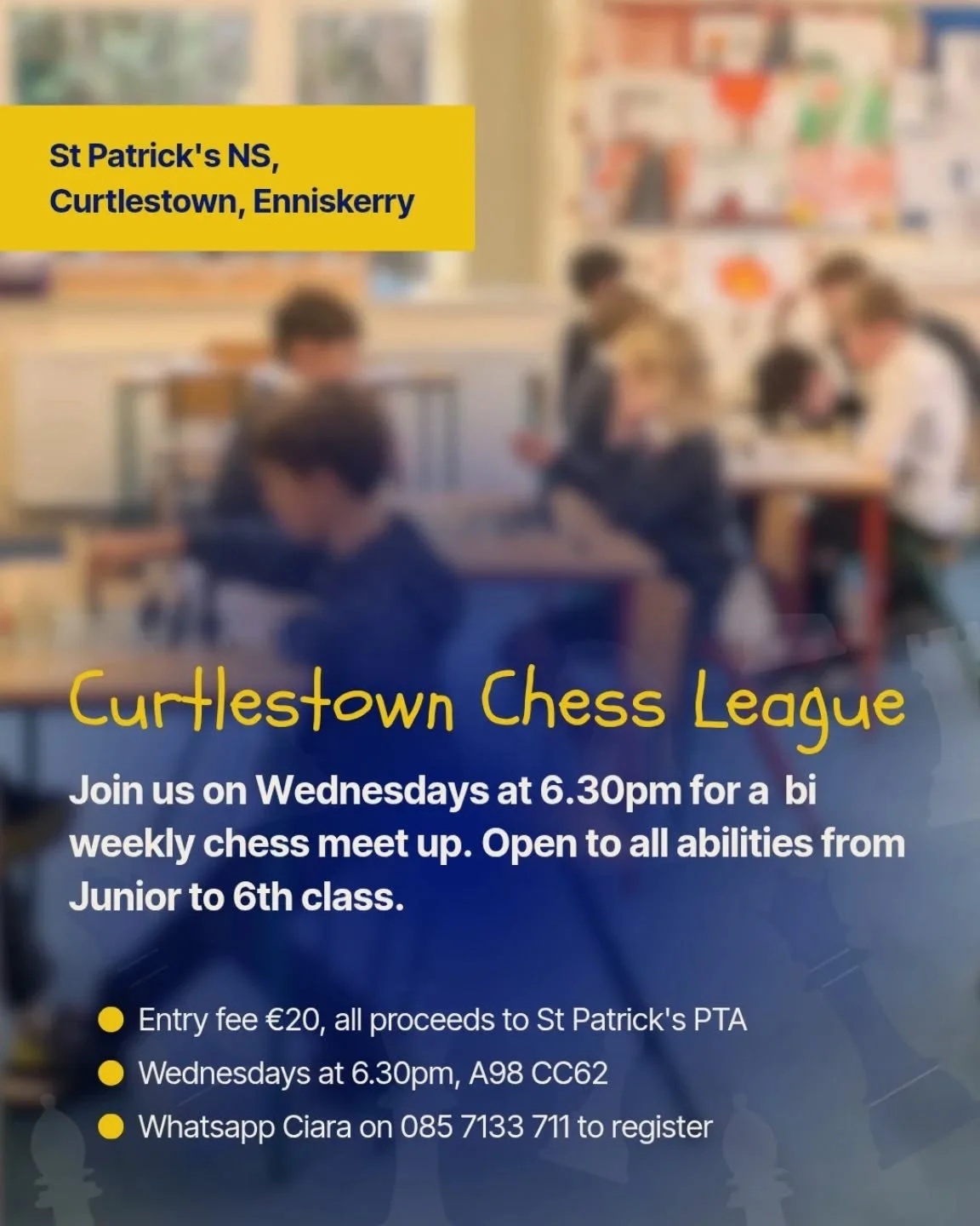 Have you a primary school student in the area who is chess mad? Why not join our new chess league. DM us for more information! 

#chess #chessireland #Enniskerry