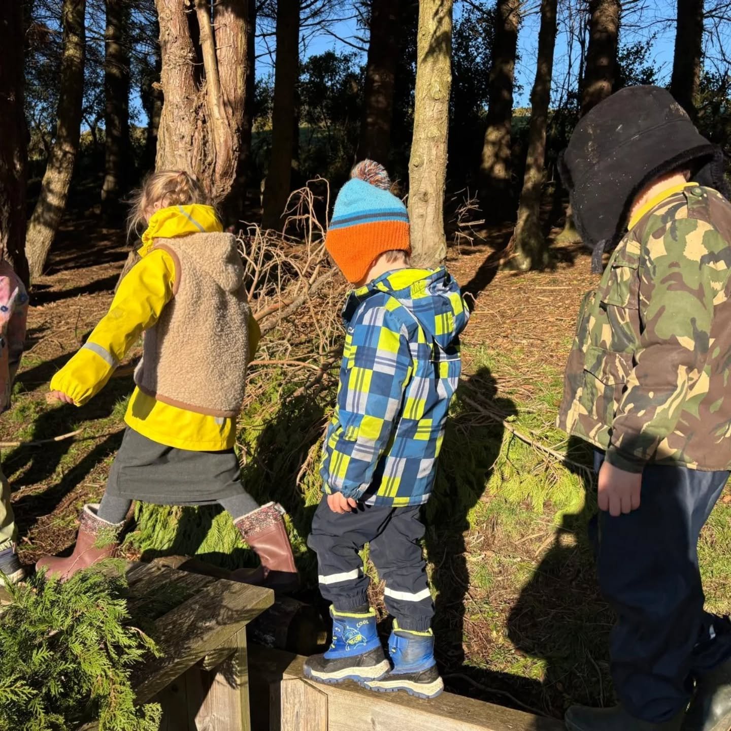 Another fabulous winters morning identifying the types of trees we have in our forest. We also spotted the first of our spring bulbs blossoming, an exciting day for the students who planted them earlier in the school year.