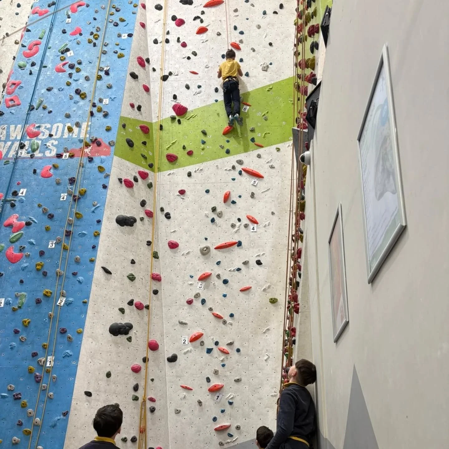 Well done to Curtlestown Climbers who took part in a great climbing competition today at @awesomewallsdublin 🧗