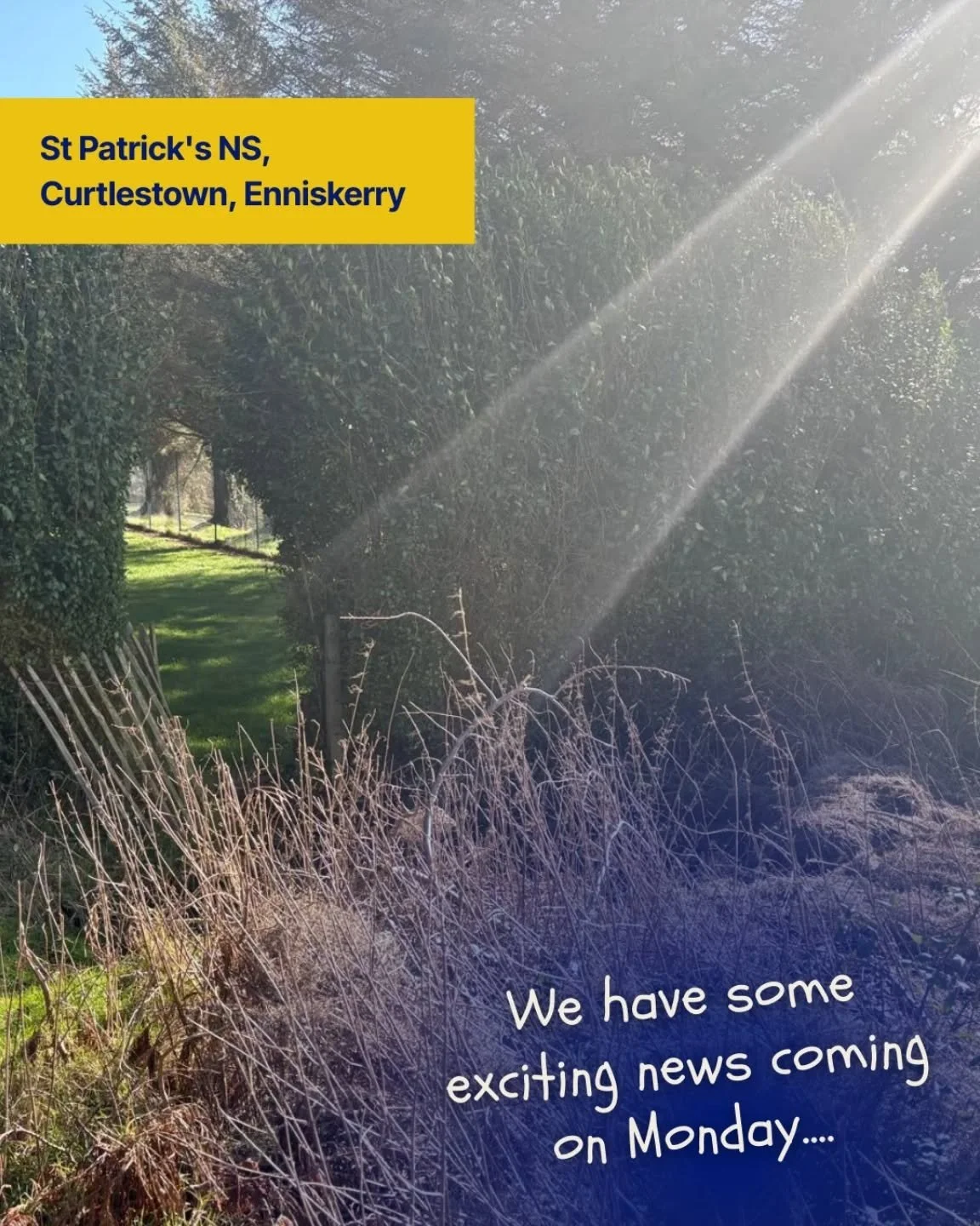 Stay tuned for some exciting news coming on Monday
 🦌🐿️🌳🪾