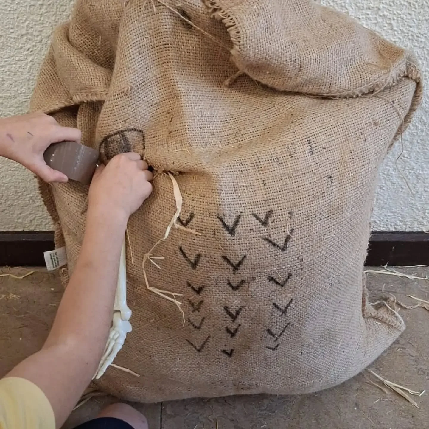 Just another week at Curtlestown! We've been racing, playing chess, building scarecrows, colour sorting, planting trees and of course forest school! 

Big thank you to @treecouncil for our tree and to @avondaleforestparkwicklow the children loved the