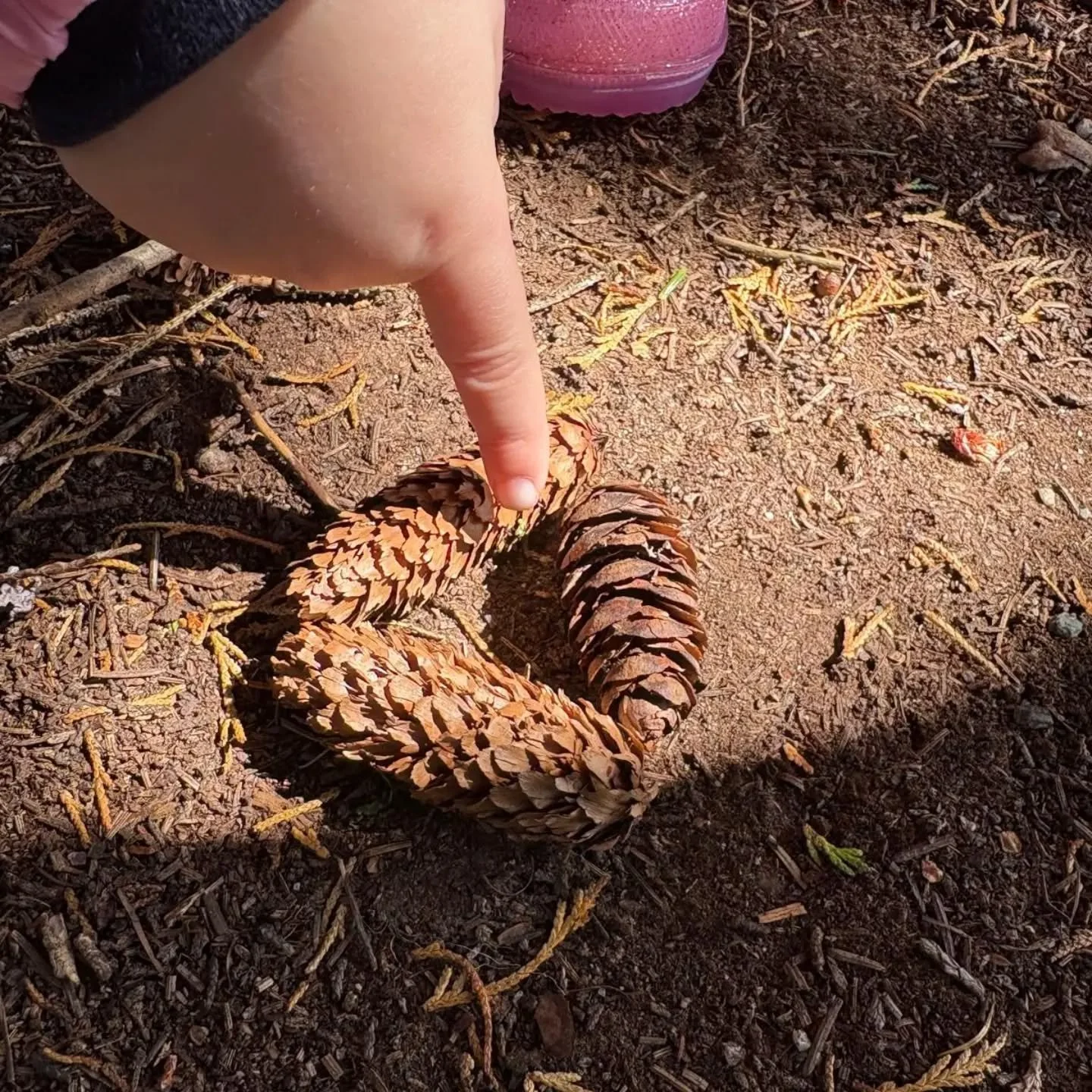 Our Junior classes took their maths lesson outside for Treetop Tuesday to explore 2D shapes using natural materials found on the forest floor!

The children searched for twigs, sticks, and pine cones to construct, trace, and point out different shape
