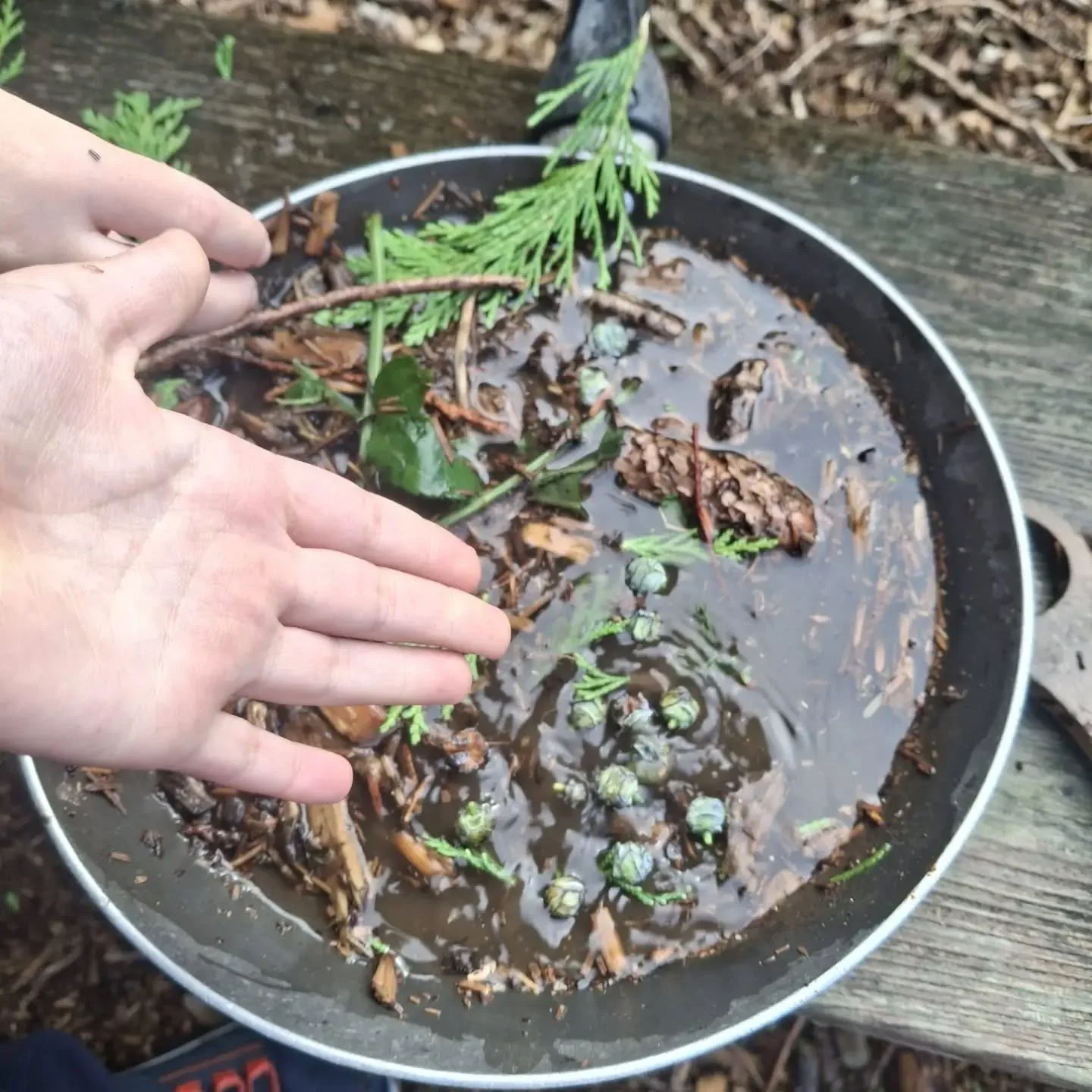 Back to school and back connecting with nature, today the Junior class got a phone call from a fairy in the forest asking the children to build some fairy houses... More to follow!