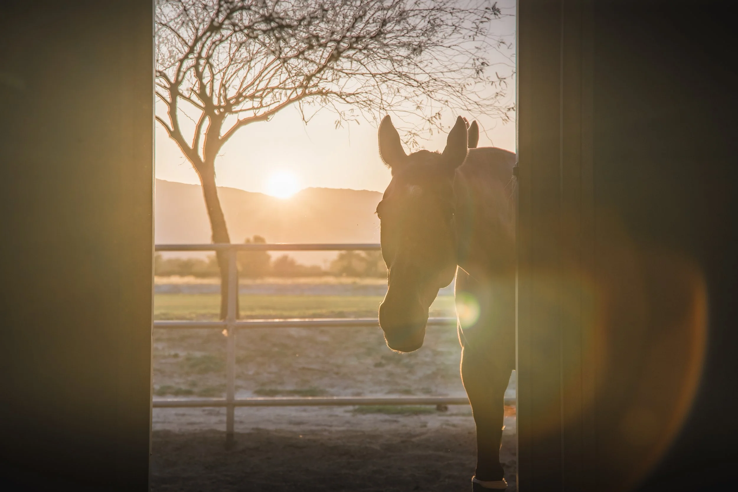 Rancho_Polo_ForPrint-128.jpg