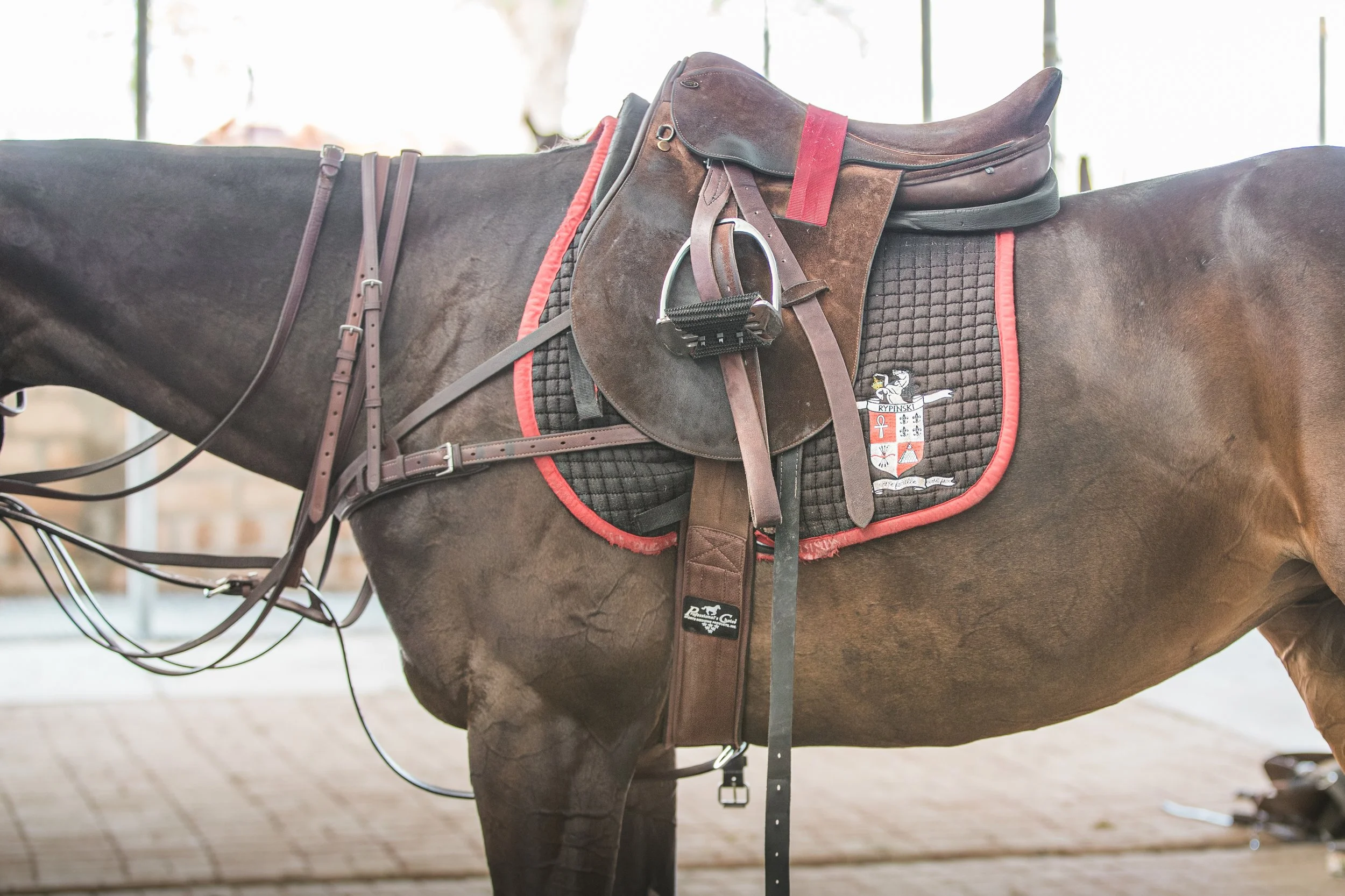 Rancho_Polo_ForPrint-9.jpg