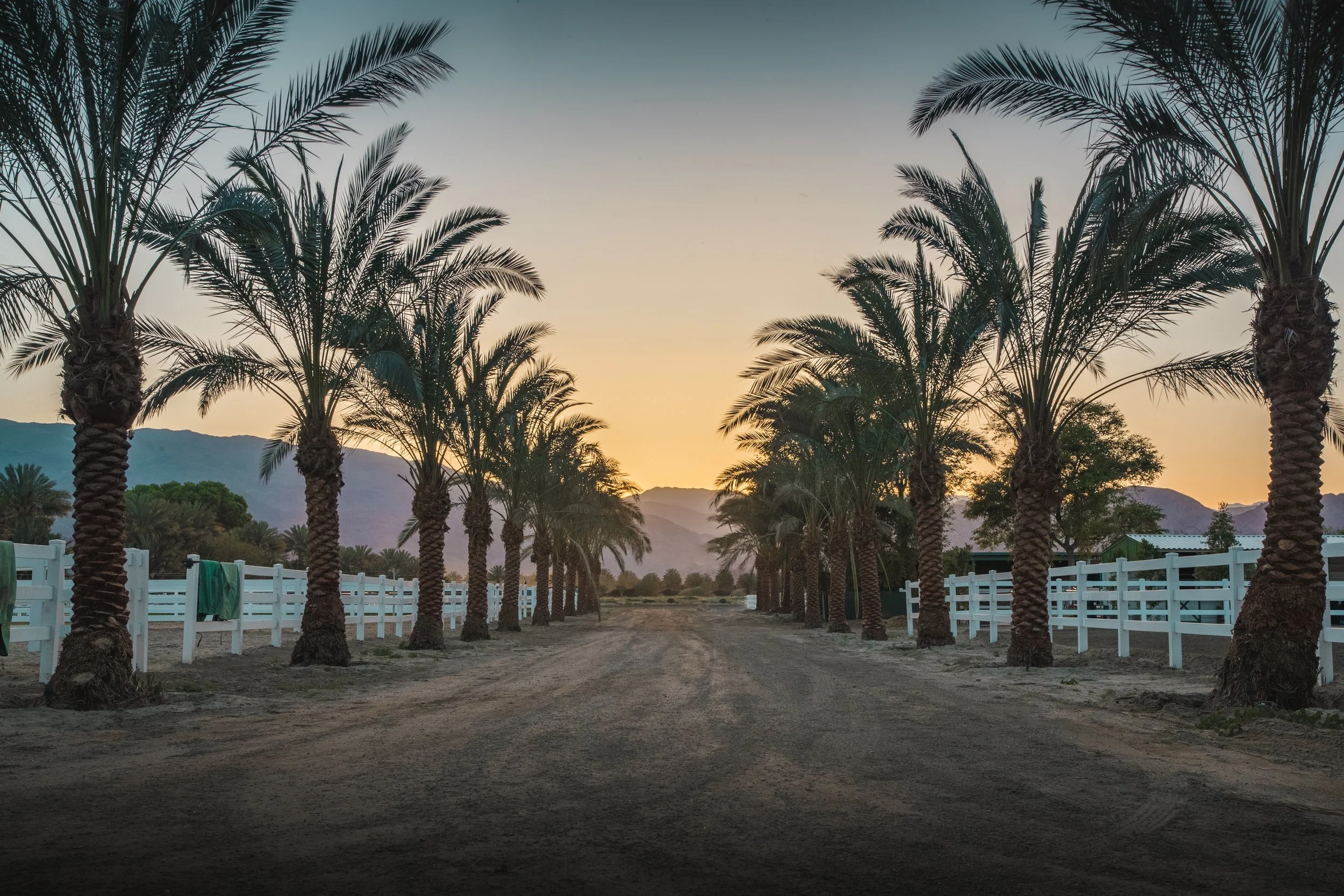 Rancho_Polo_ForPrint-130.jpg