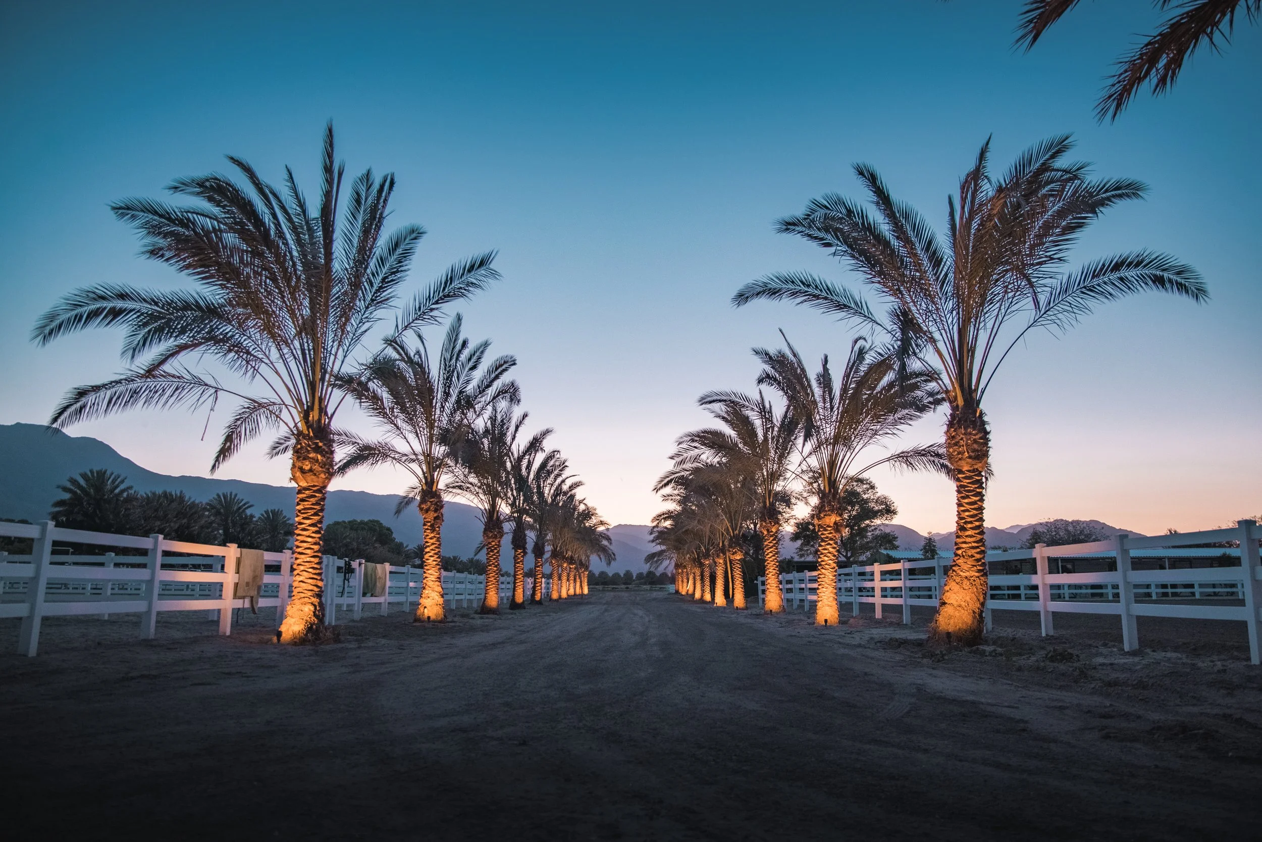 Rancho_Polo_ForPrint-143.jpg