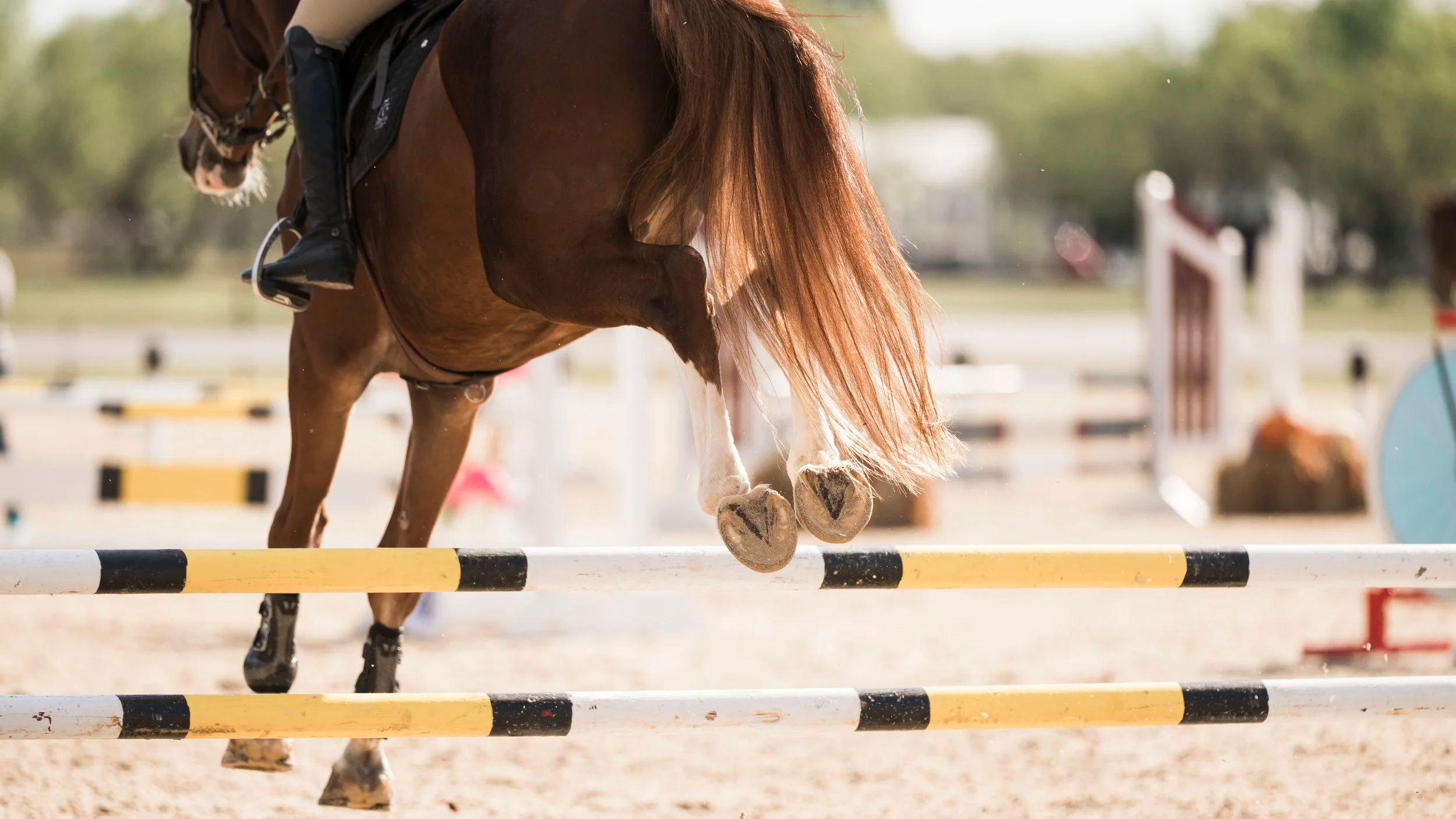 KarindaK_UDJC_Texas7_2_SS_0645.png