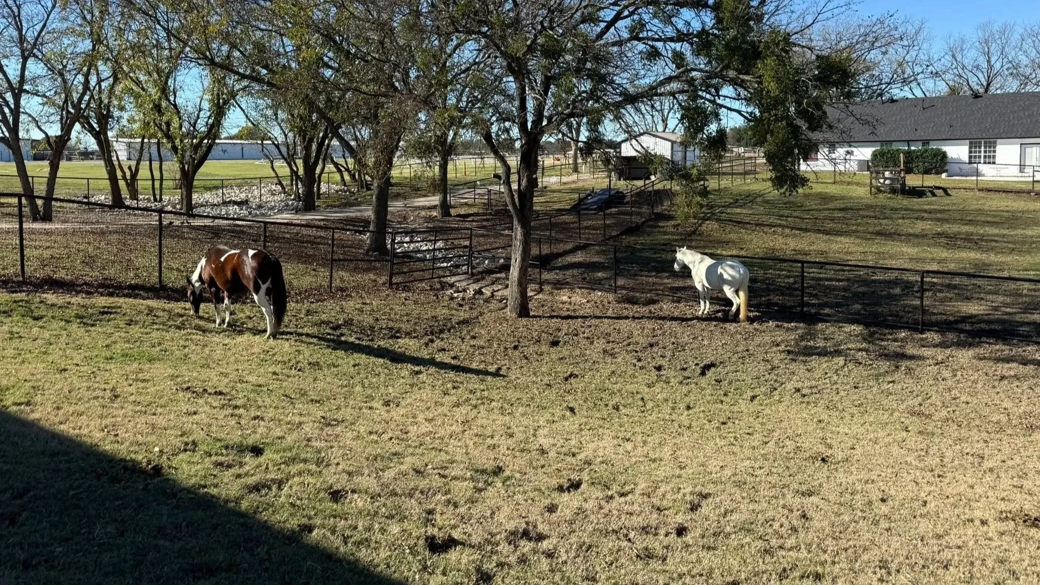 horsepasture.jpg