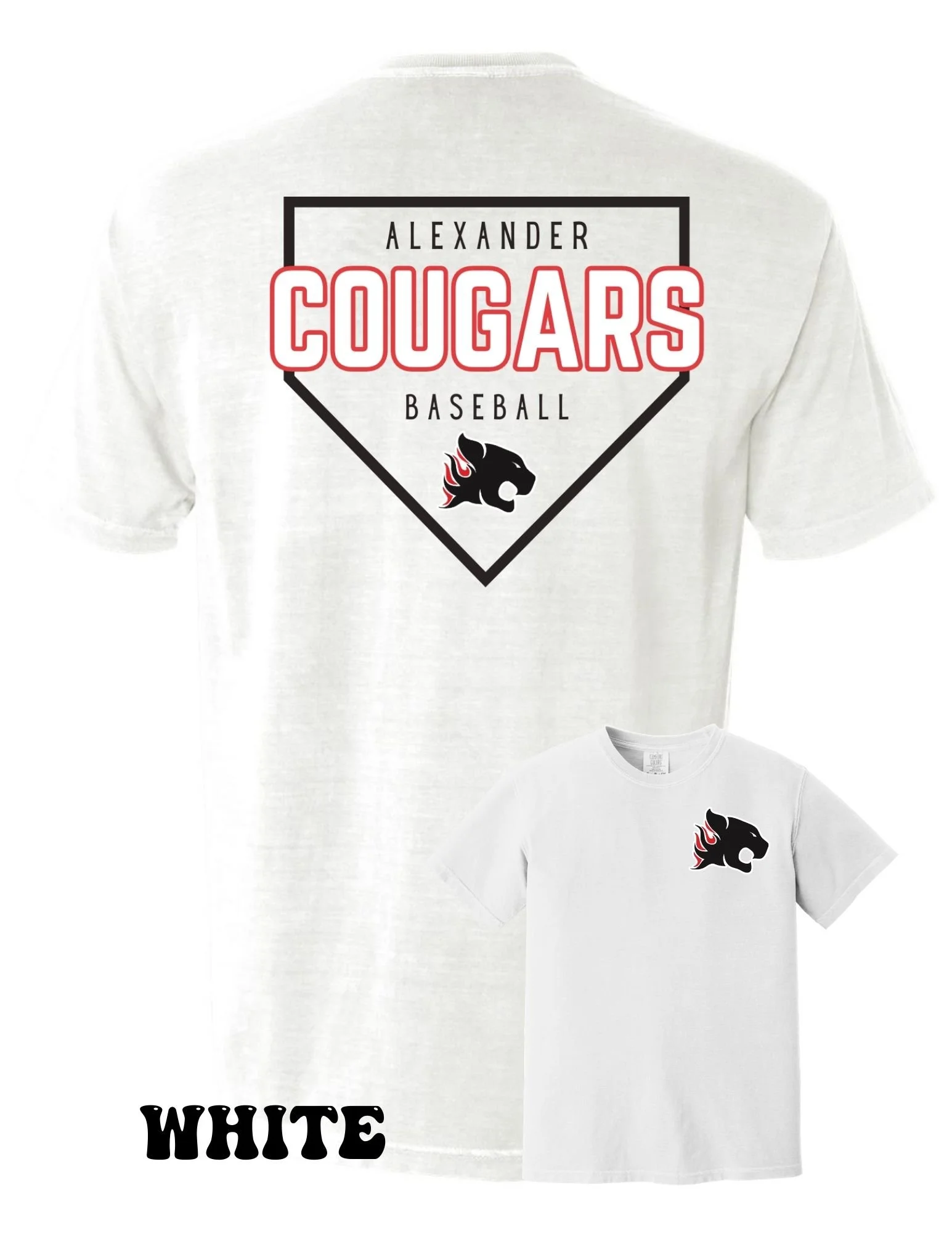 ALX Baseball Home Plate T-Shirt (Front & Back)