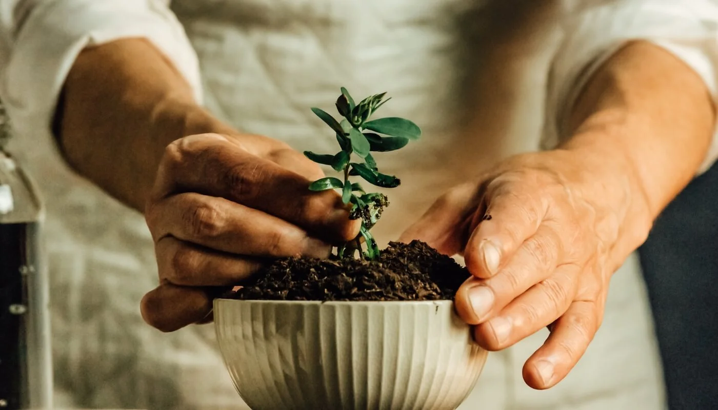 Tending the Garden of the Heart: Presence + Inner Awareness