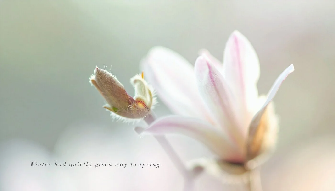 Slowing Down: Why the Nervous System Needs Stillness 