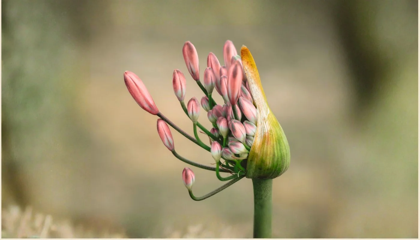 How to Start a Meditation Practice at Home: Don’t Overthink It