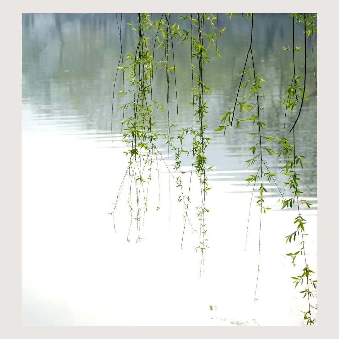 Part II: Inner Practices of an Embodied Yoga Teacher