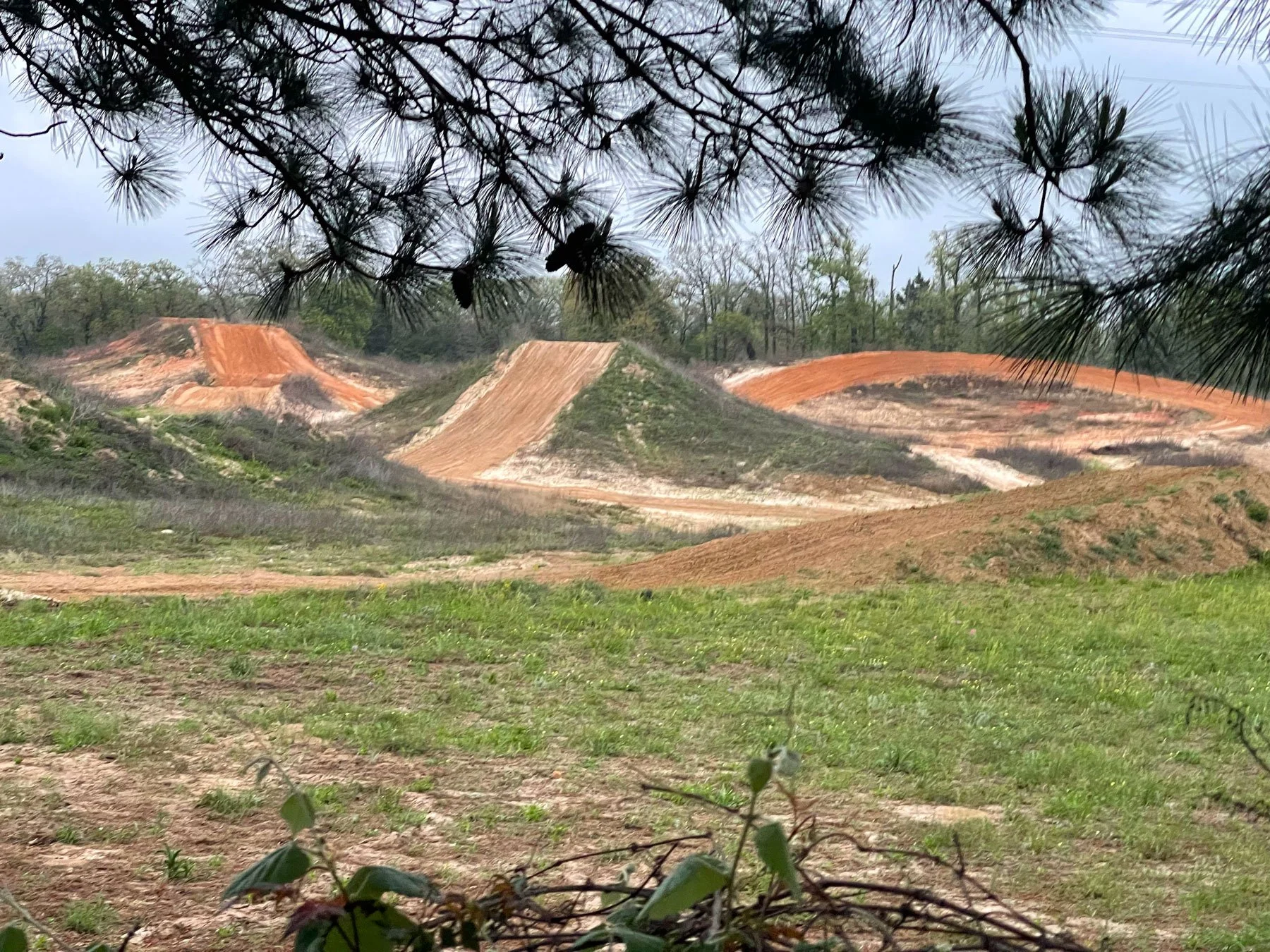 FrontYardMX.jpg