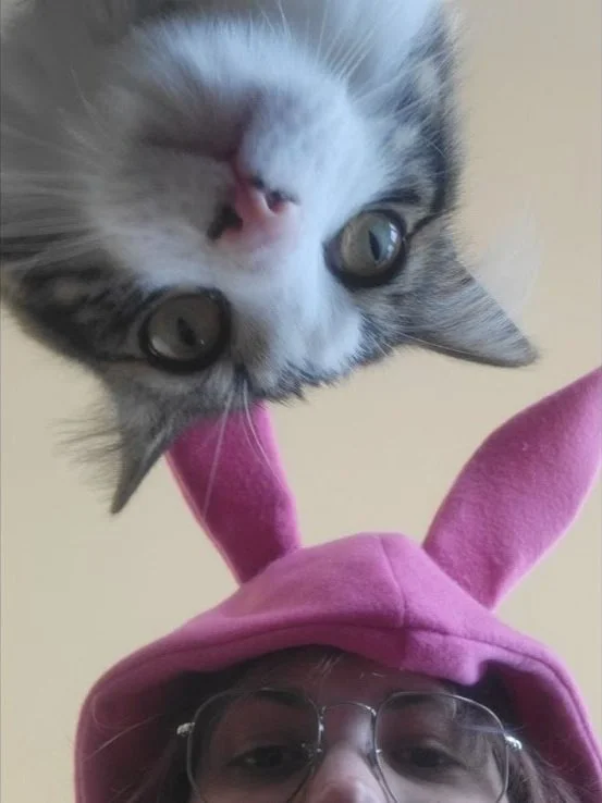 A person wearing glasses and a pink hood with bunny ears, holding a kitten upside down above their head.