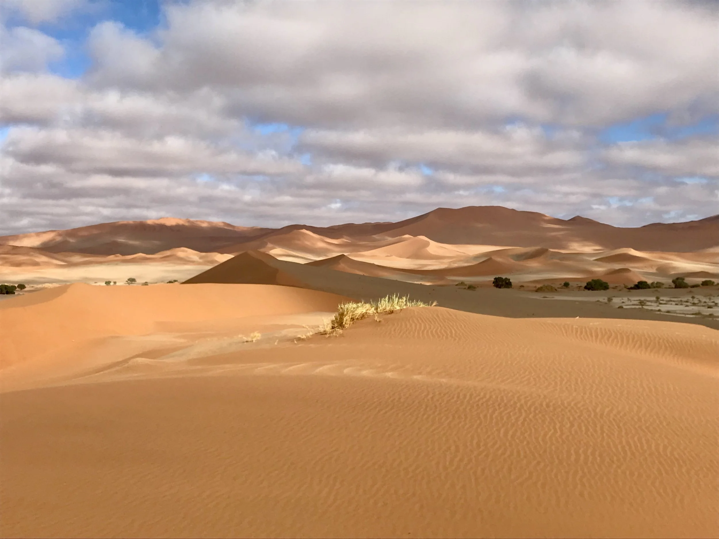 A desert landscape with sand dunes, sparse vegetation, and a partly cloudy sky.