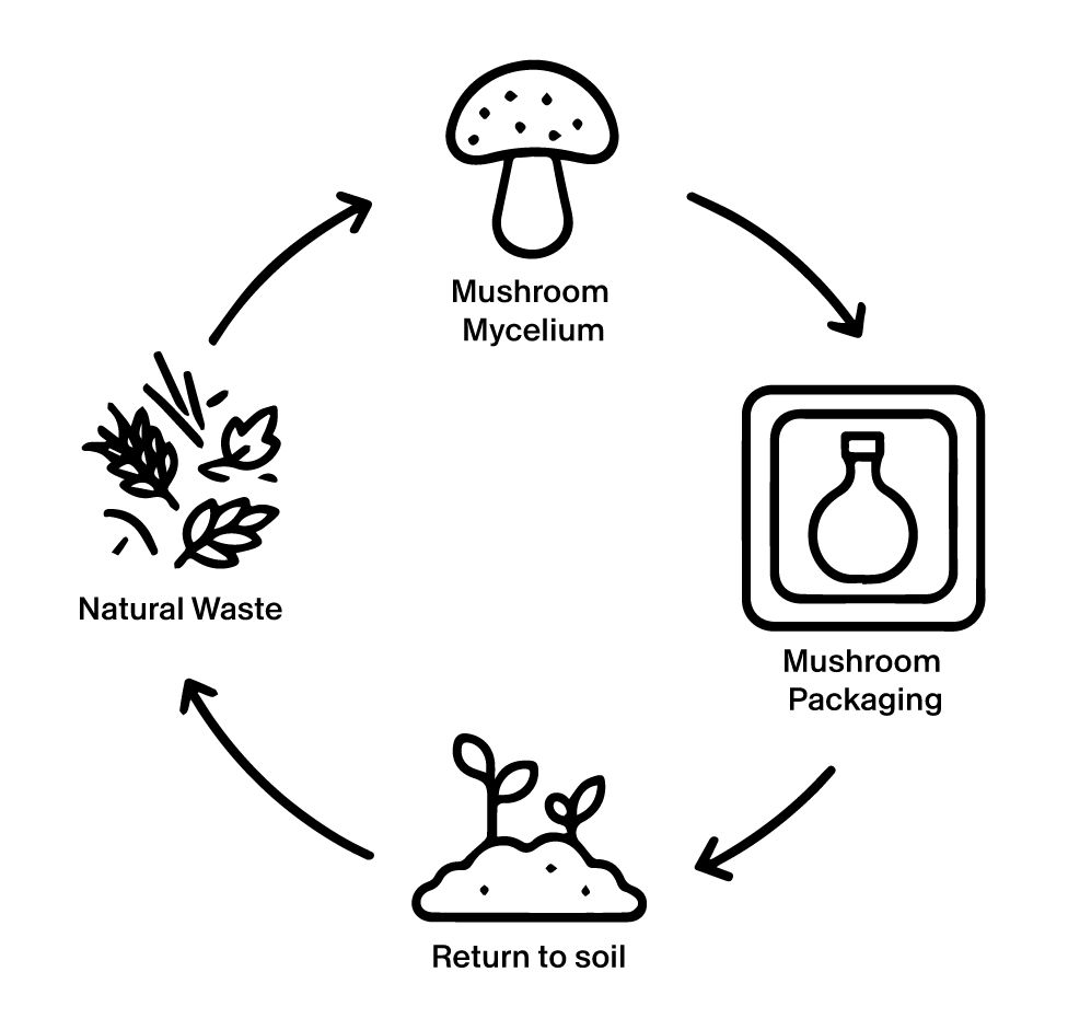 Circular diagram showing mycelium packaging grown from agricultural waste and returned safely to soil through composting.