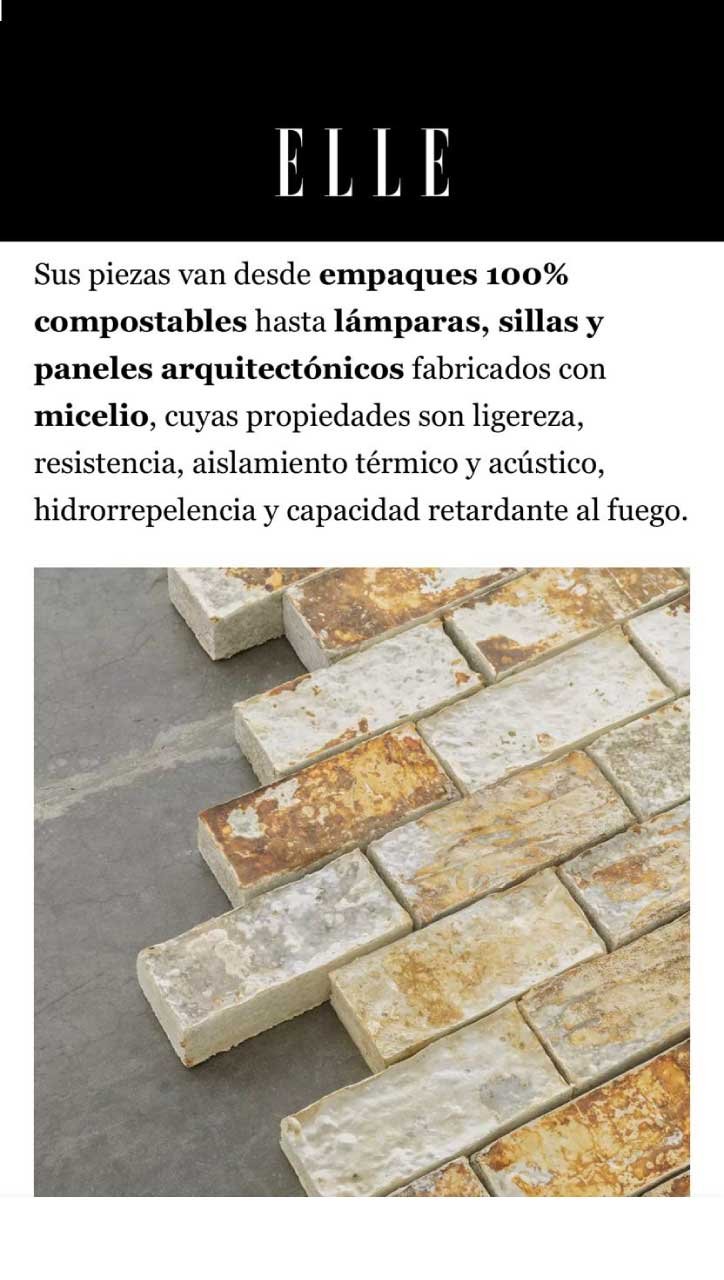 ELLE Decoration México feature on Monterr Lab, showing biofabricated mycelium material samples developed for design and interiors.