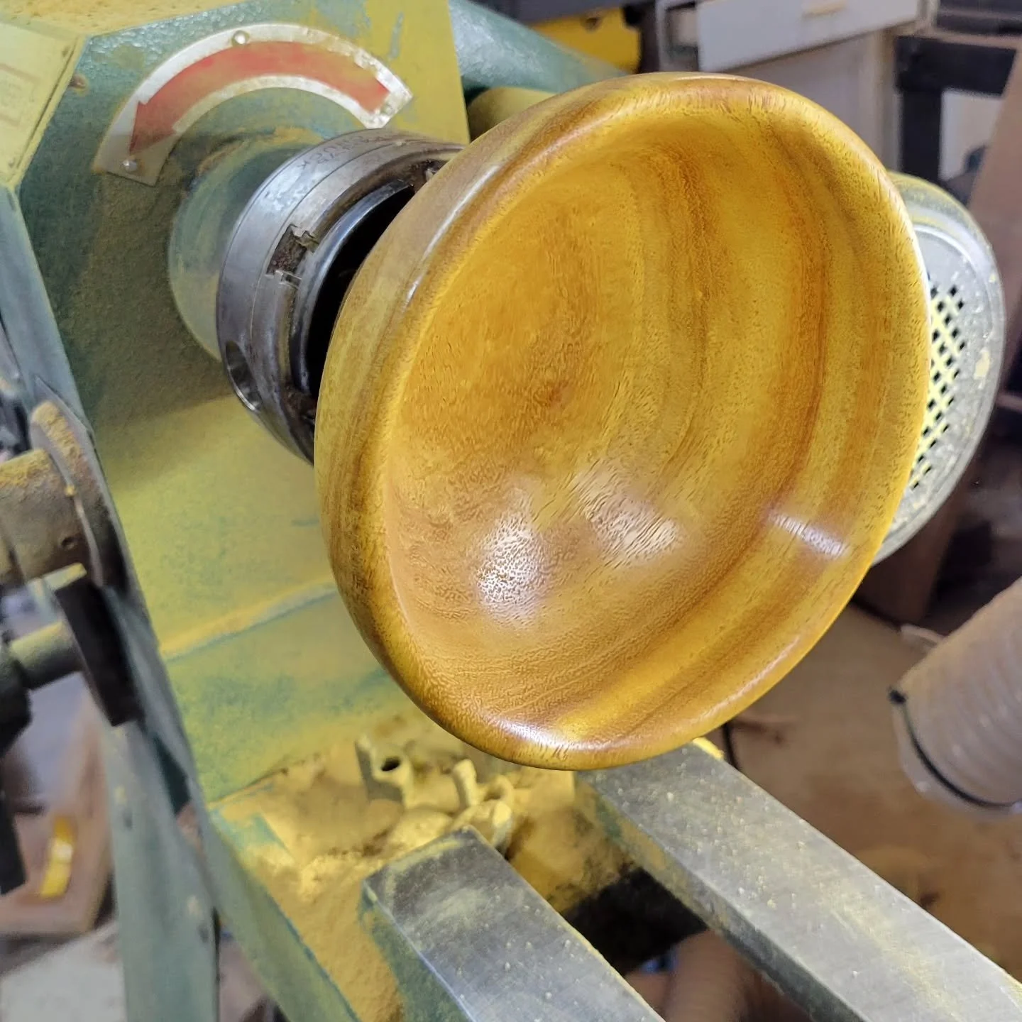Yellowheart